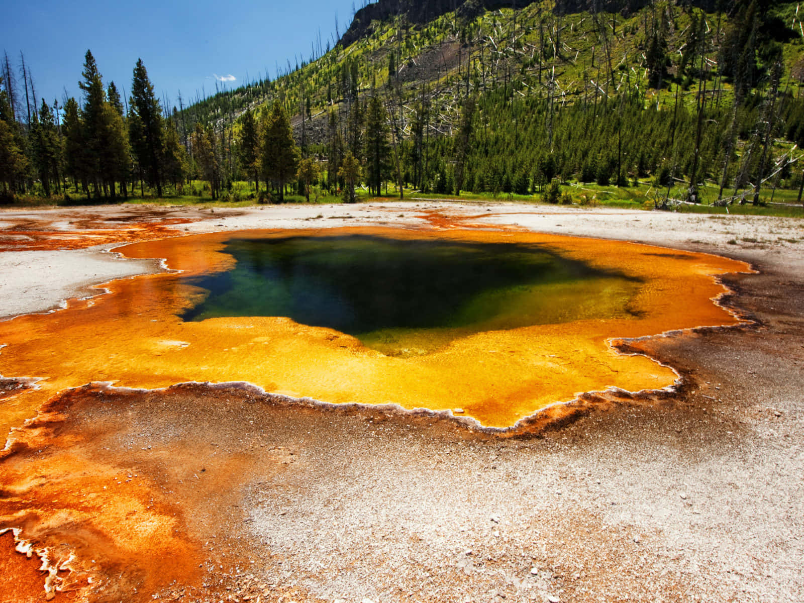 Yellowstone National Park, orange hot spring pools, green hot spring pools, HD Desktop Wallpaper