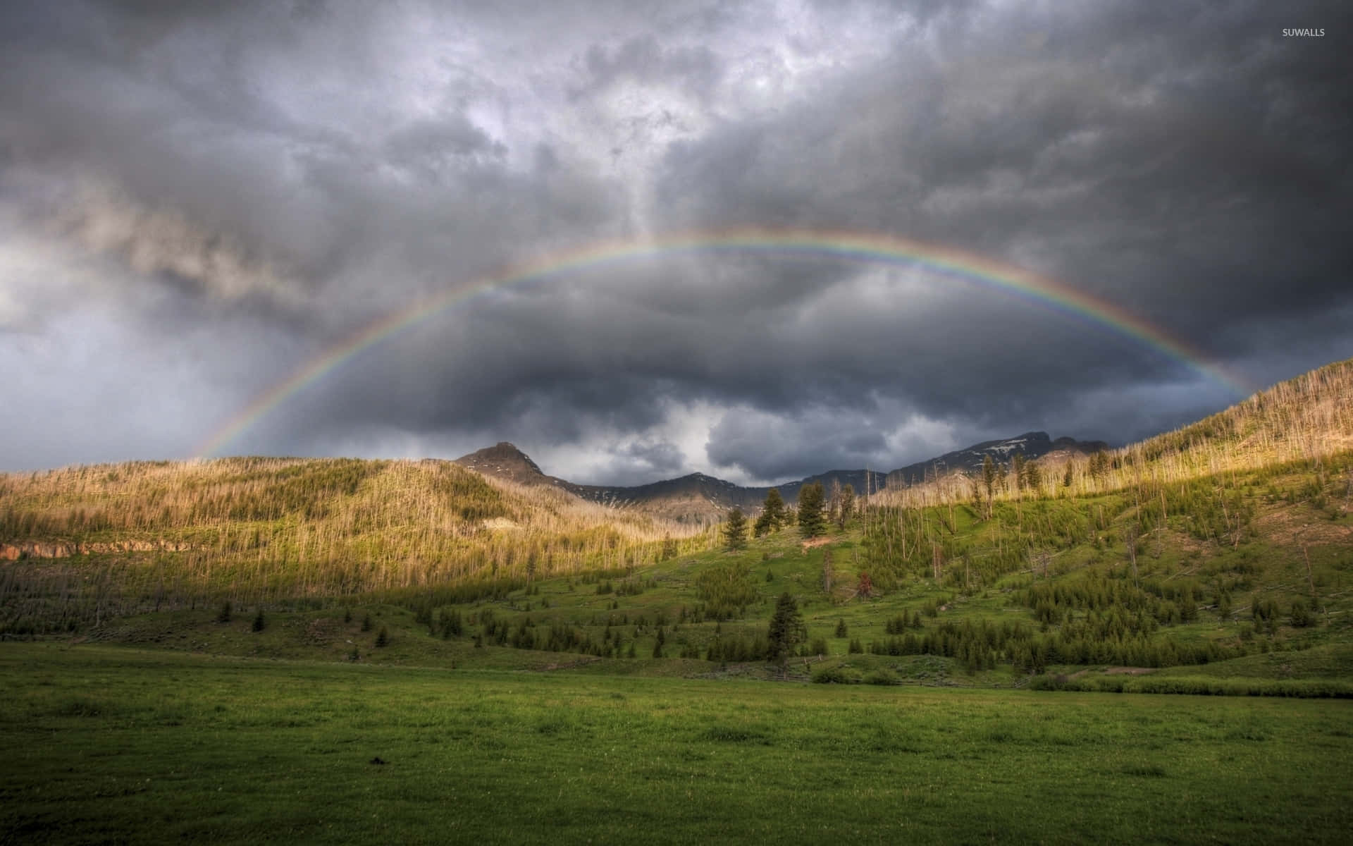 Yellowstone National Park, rainbow, lush green valley, Full HD Desktop Wallpaper