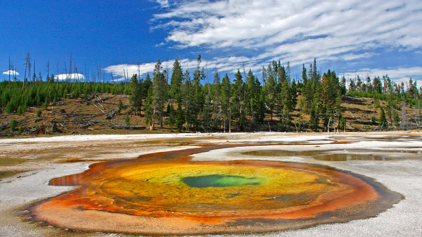 Yellowstone National Park, rainbow-colored hot spring, orange yellow and green rings, HD Desktop Wallpaper