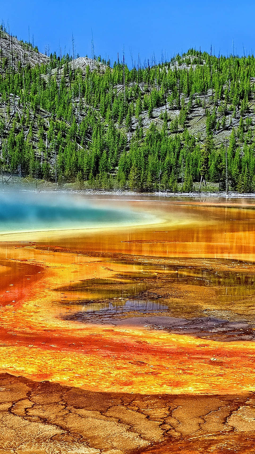 Yellowstone National Park, orange, yellow, Full HD Phone Wallpaper
