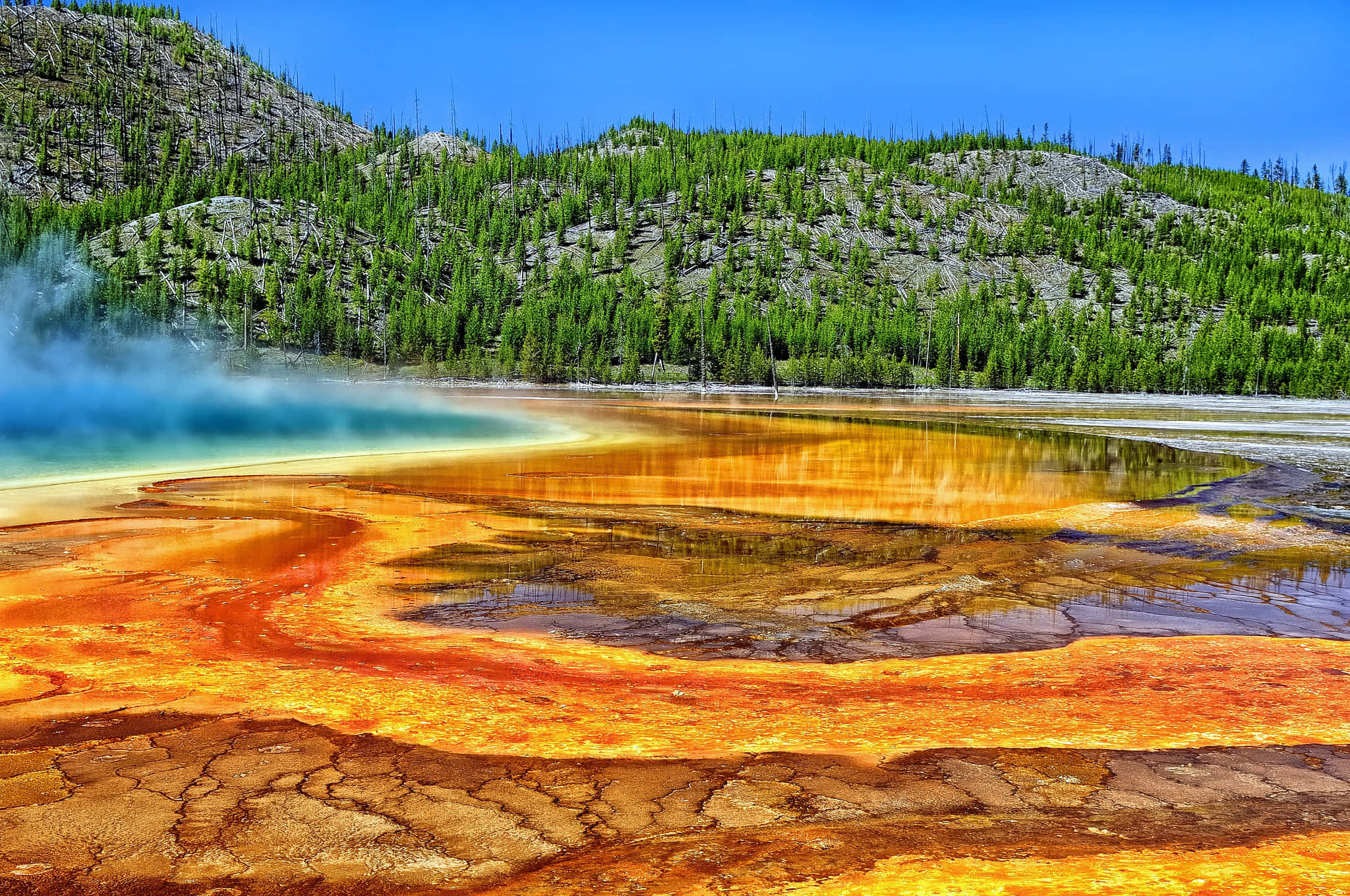 Yellowstone National Park, orange and yellow microbial mats, steaming hot spring, Full HD Desktop Wallpaper