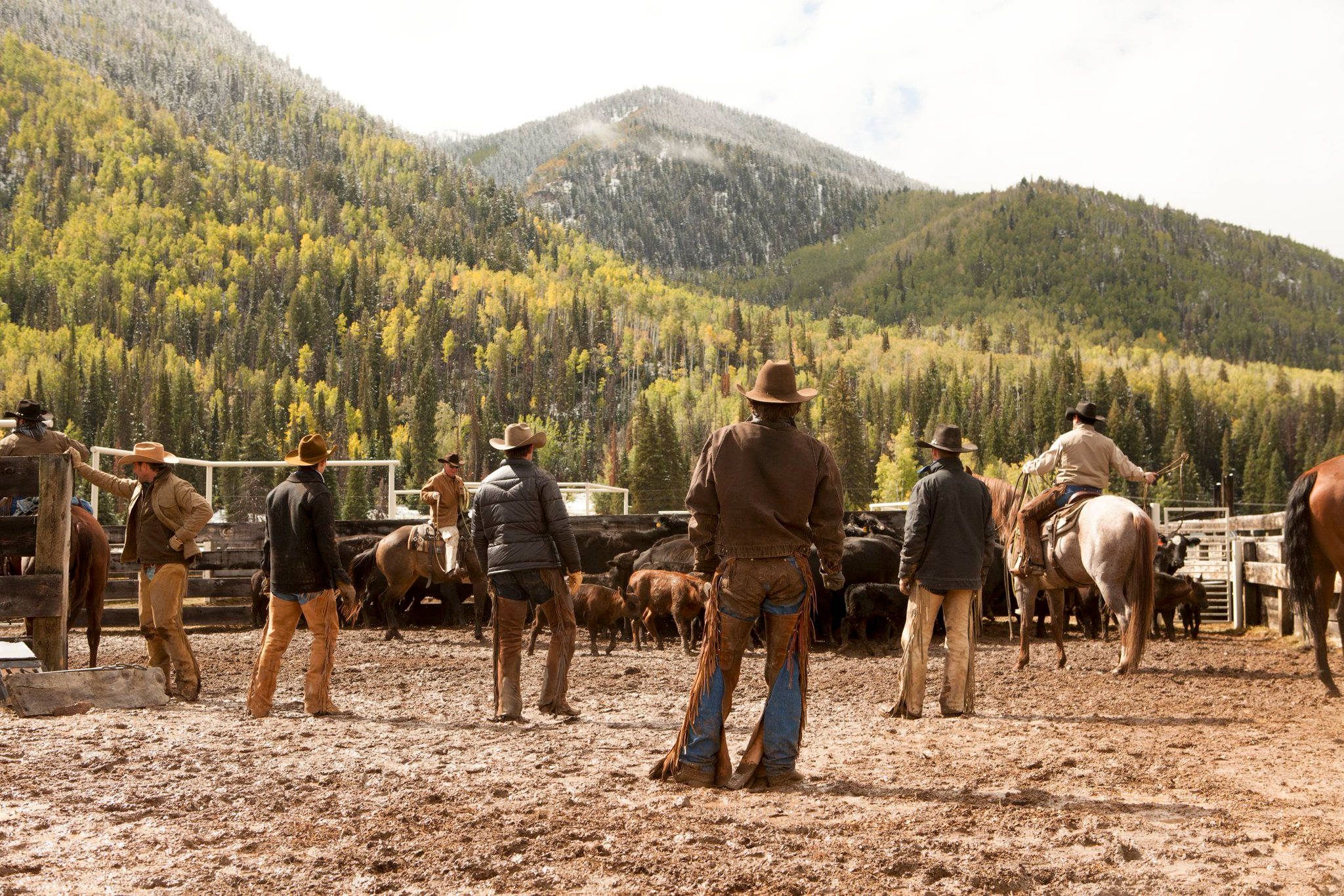 Yellowstone tv show, rancher, forested mountains, Full HD Desktop Wallpaper