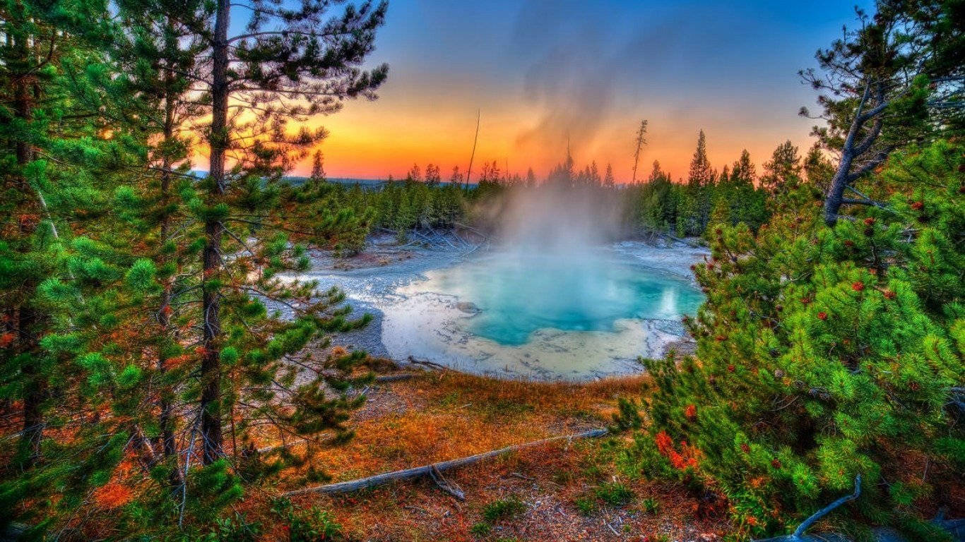 Yellowstone, turquoise hot spring, pine trees, HD Desktop Wallpaper