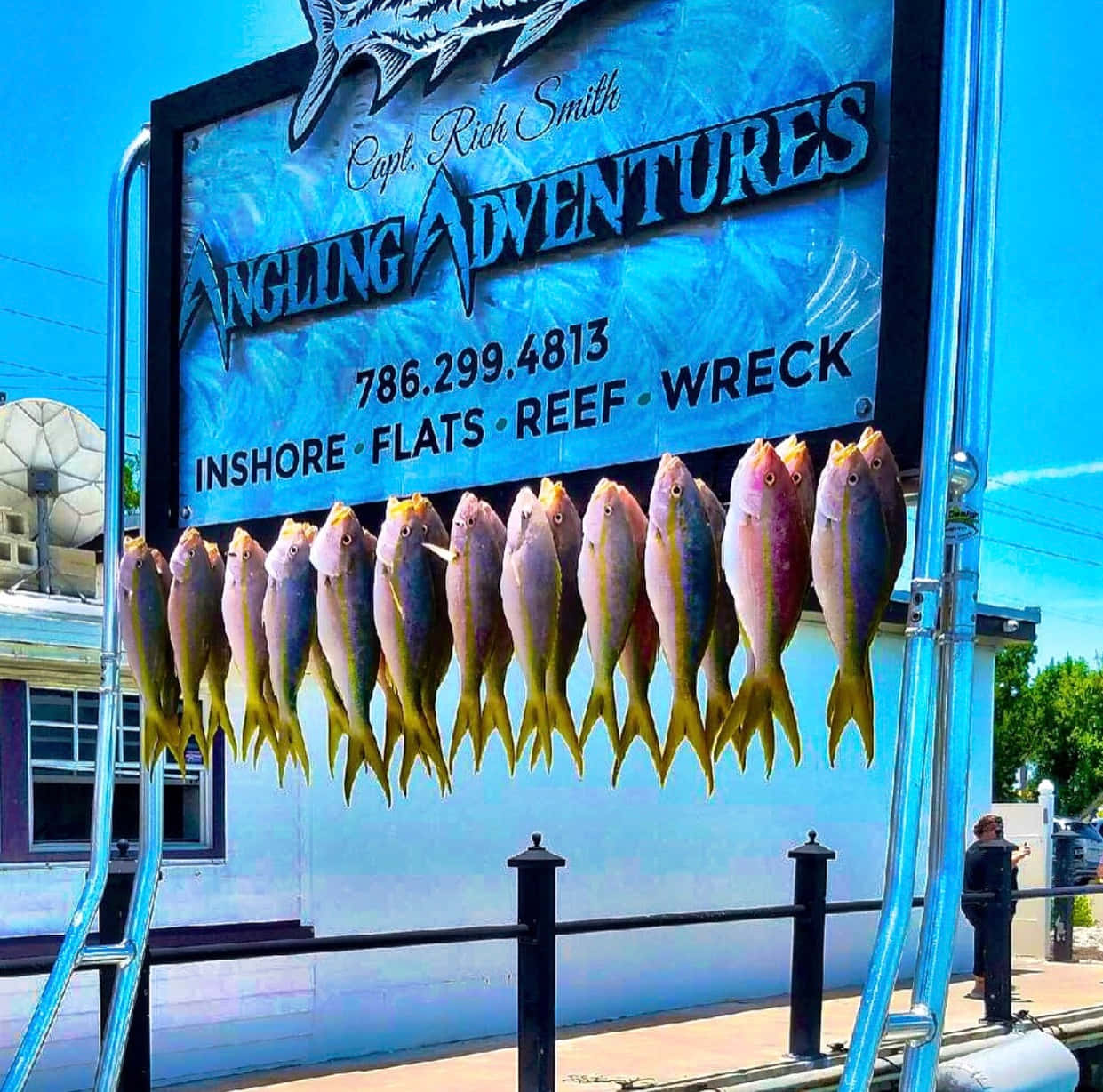 Yellowtail Snapper, bright blue fishing charter sign, clear sunny skies, SD Desktop Wallpaper