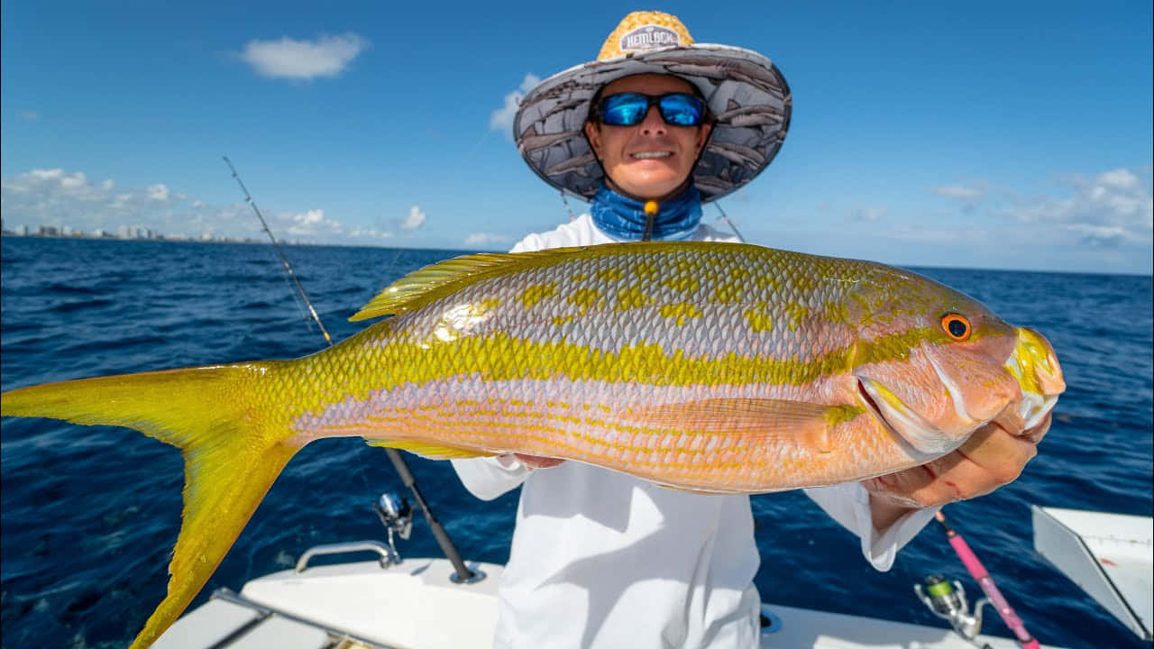 Yellowtail Snapper, angler, boat, HD Desktop Wallpaper