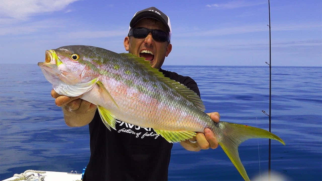 Yellowtail Snapper, angler, large yellowtail fish, HD Desktop Wallpaper