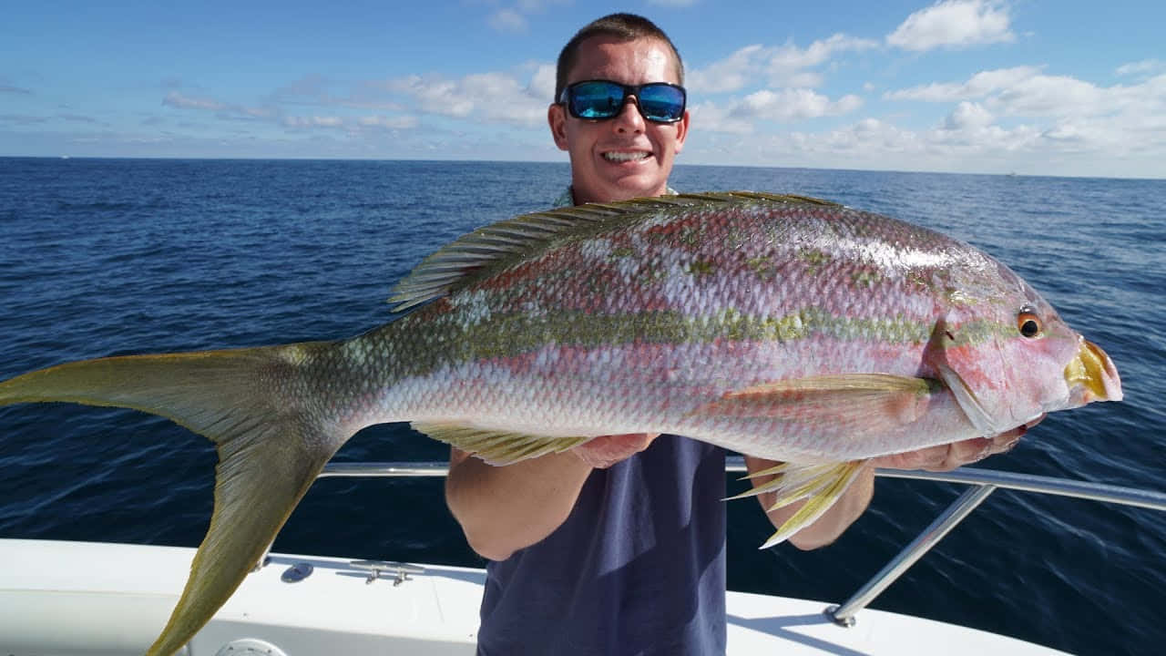 Yellowtail Snapper, boat, bright blue ocean, HD Desktop Wallpaper
