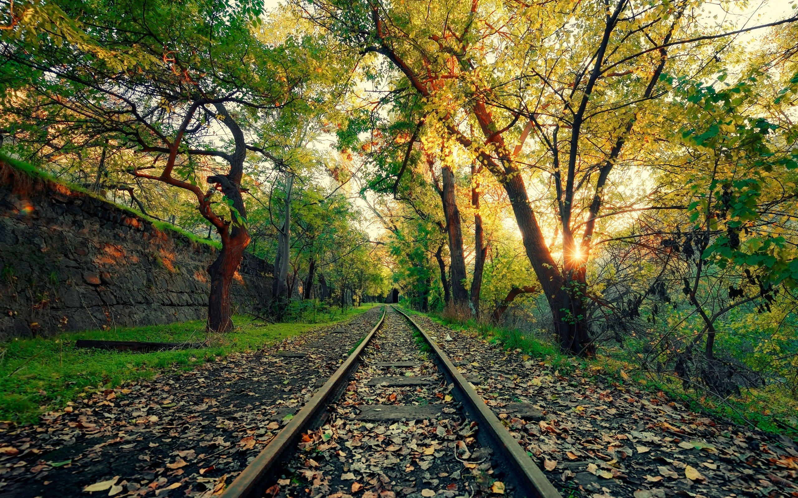 Yerevan, railroad, golden autumn trees, 2K Desktop Wallpaper