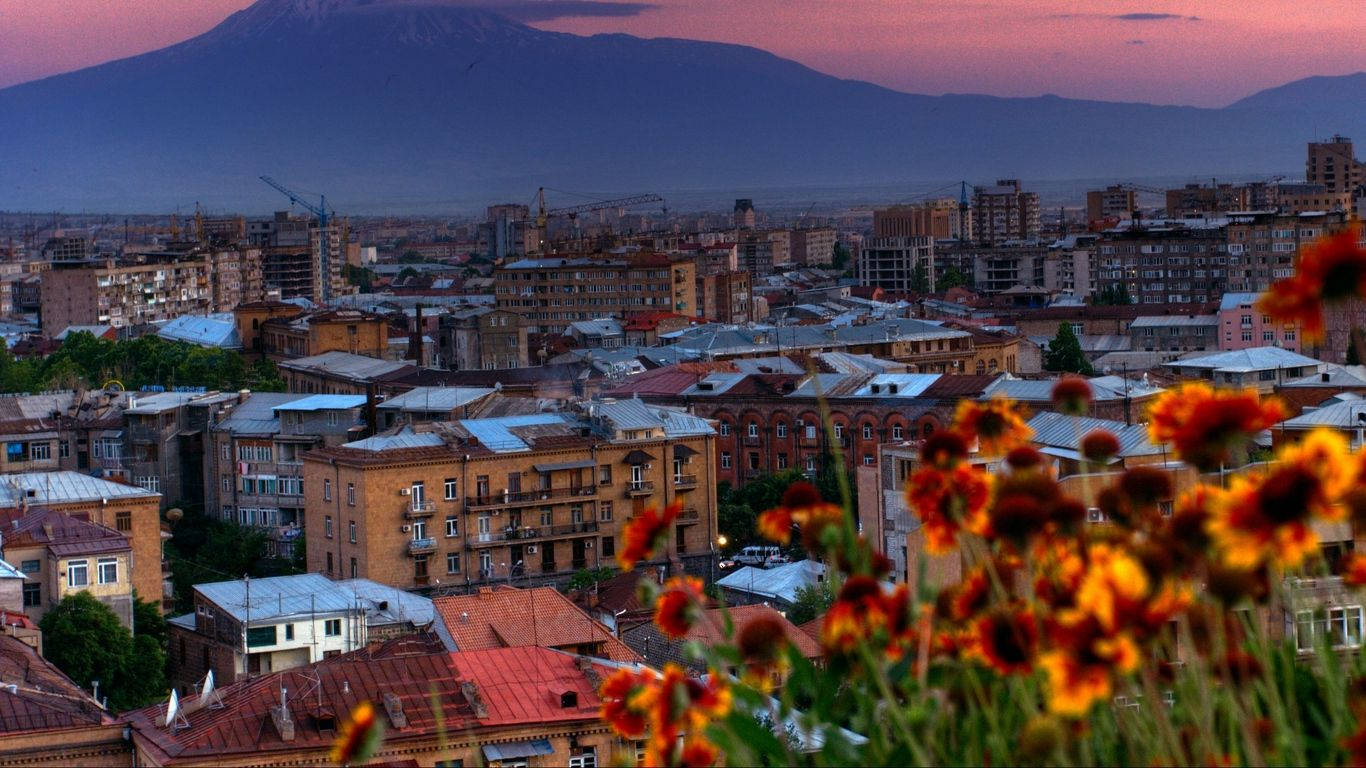 Yerevan, dusk, vibrant orange flowers, HD Desktop Wallpaper