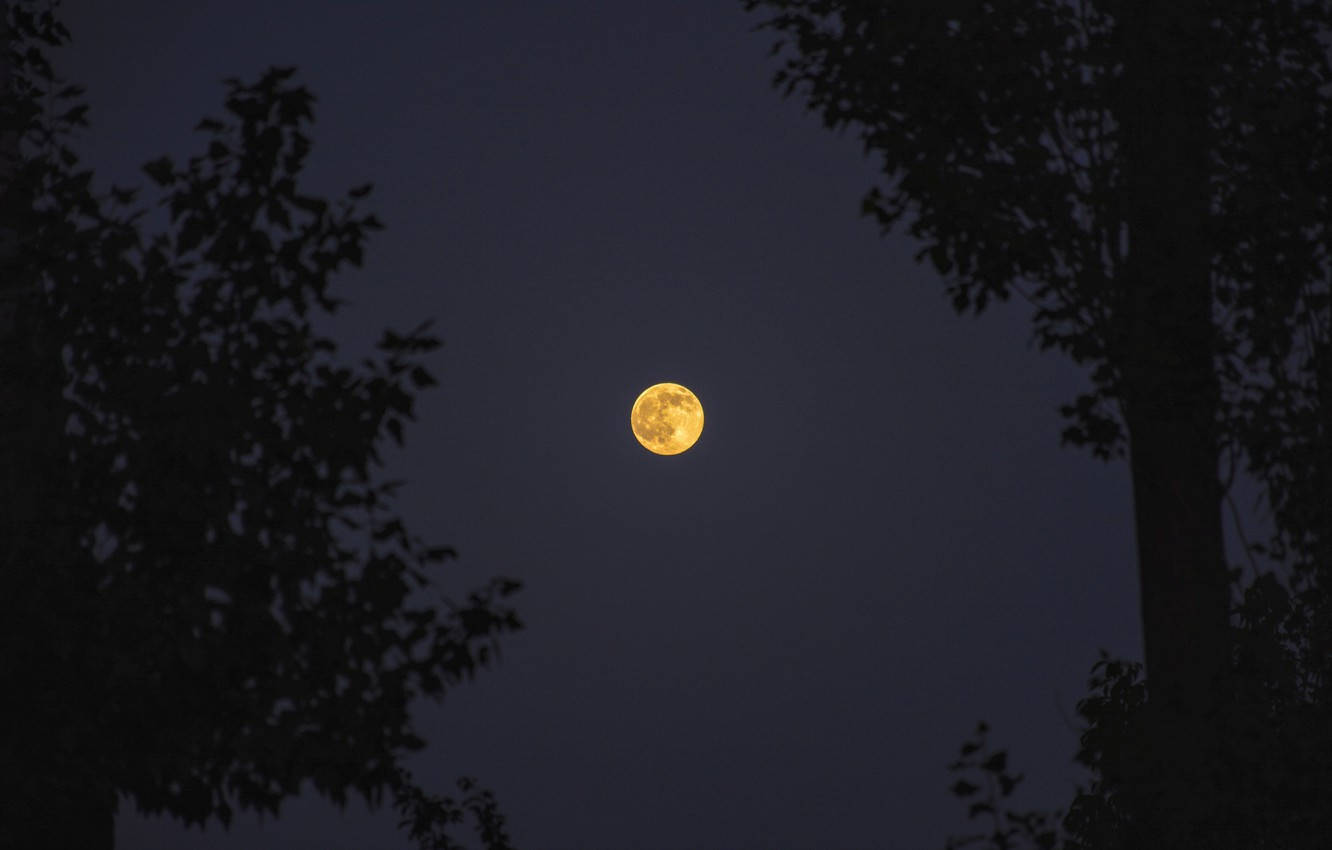 moon, yerevan, amber, HD Desktop Wallpaper