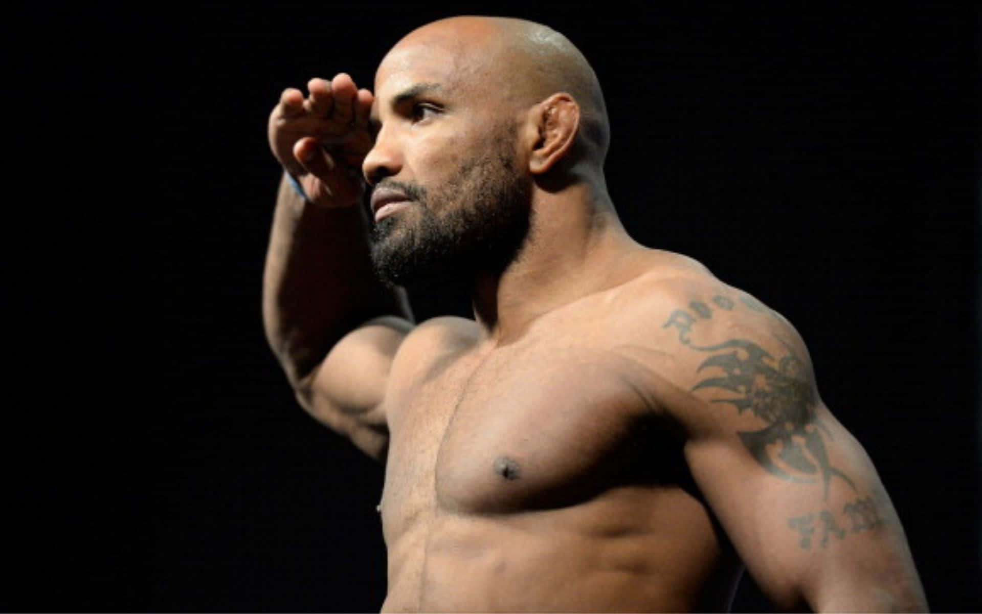 Yoel Romero, bald man, beard, Full HD Desktop Wallpaper