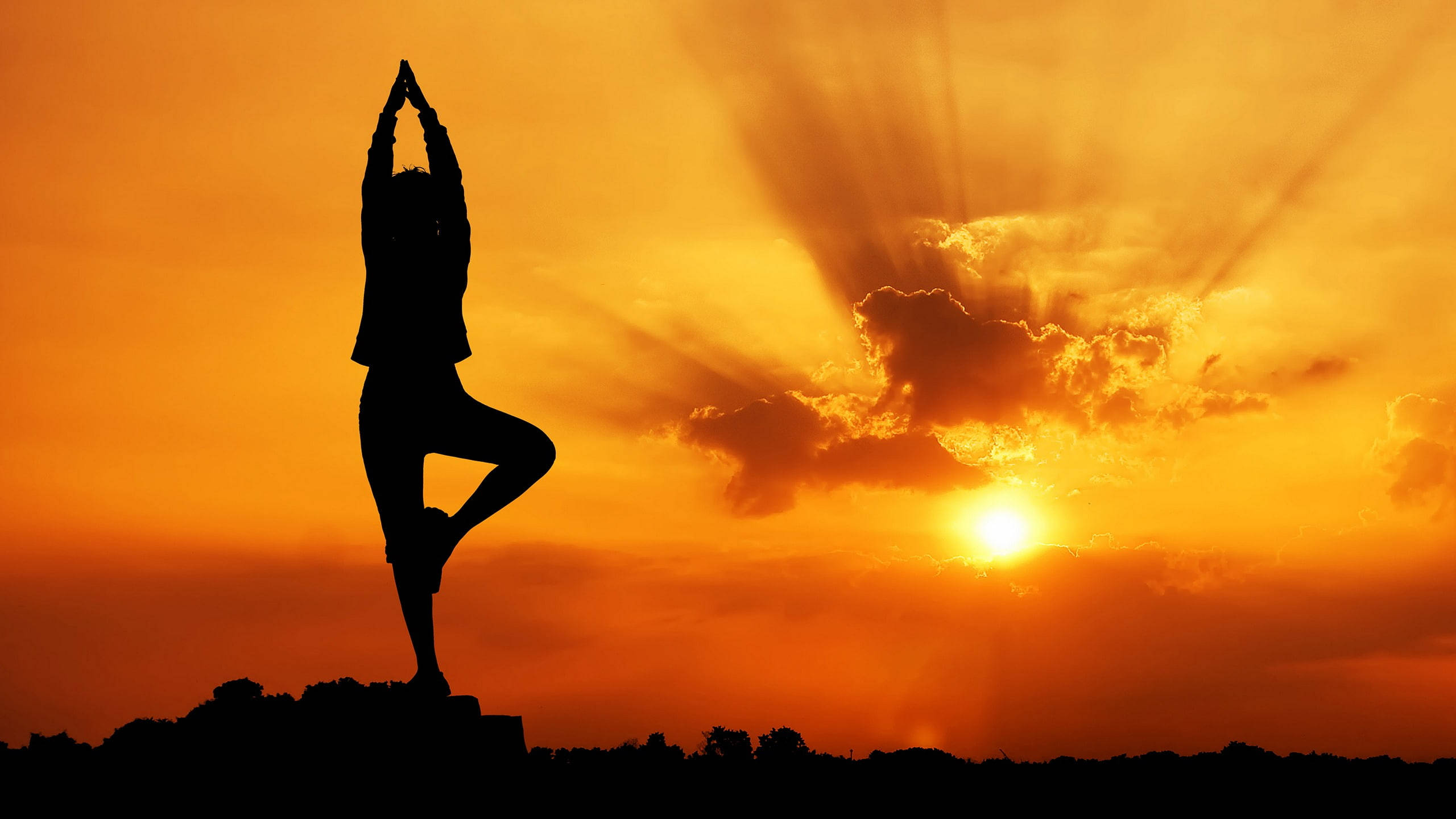 tree pose, radiant orange sunset, dramatic sunbeams, 2K Desktop Wallpaper