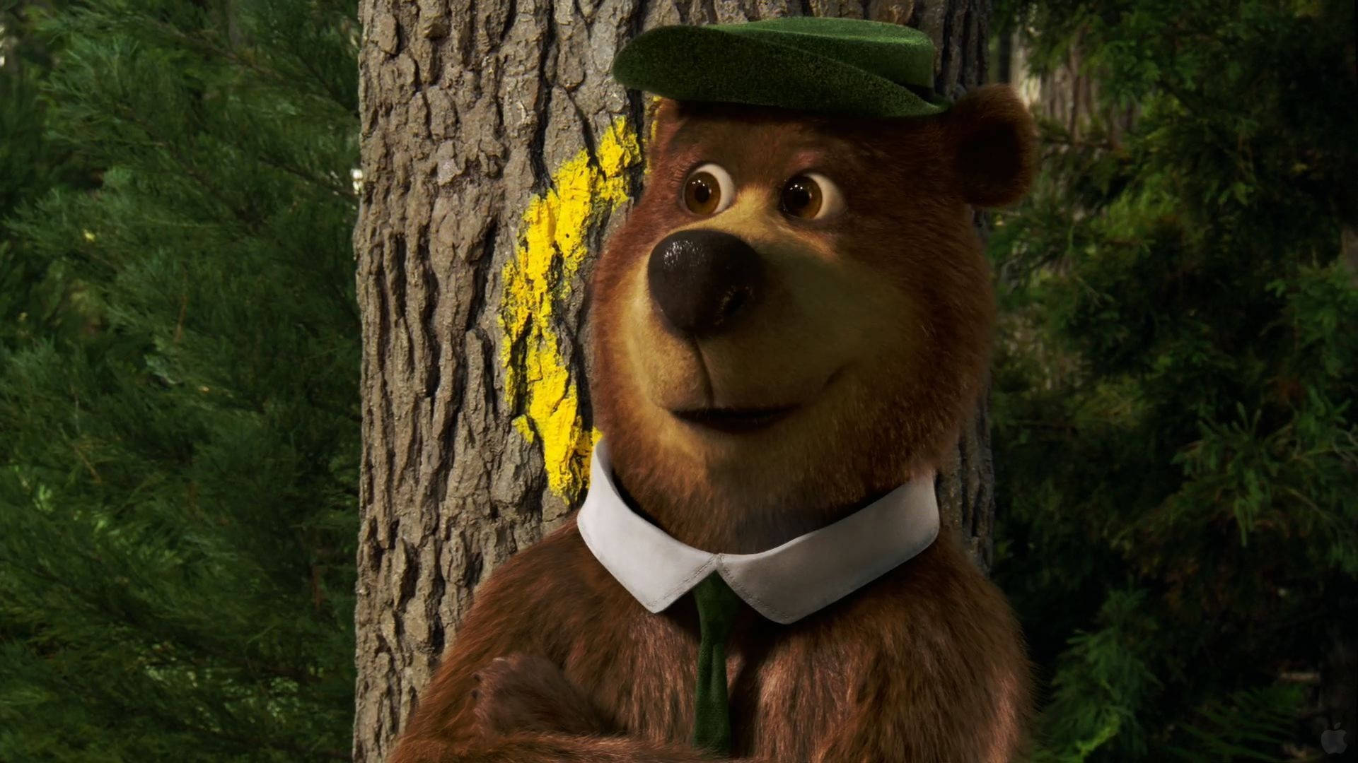 Yogi Bear, green hat, tie, Full HD Desktop Wallpaper