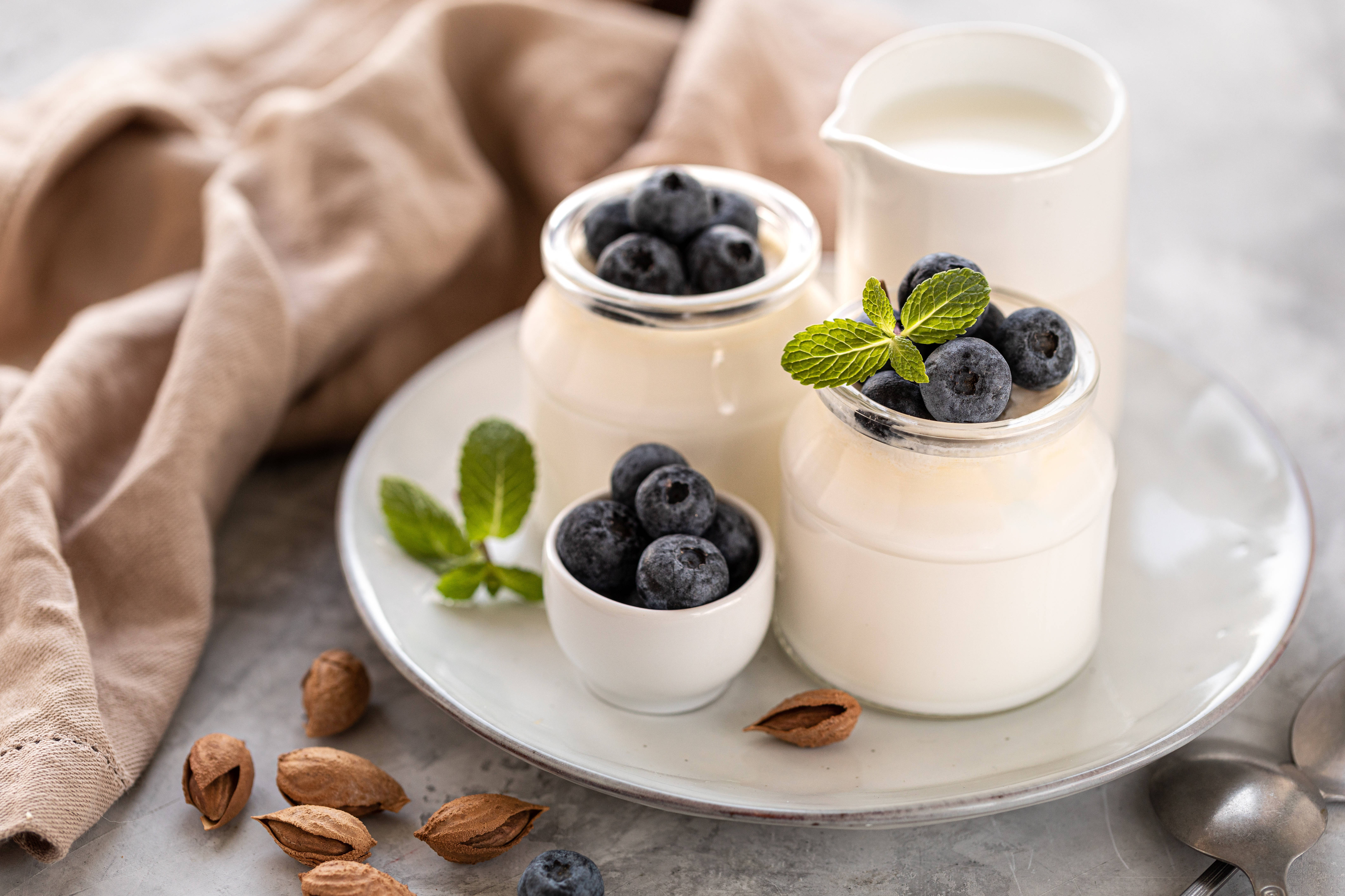 Yogurt, blueberries, nuts, 5K Desktop Wallpaper