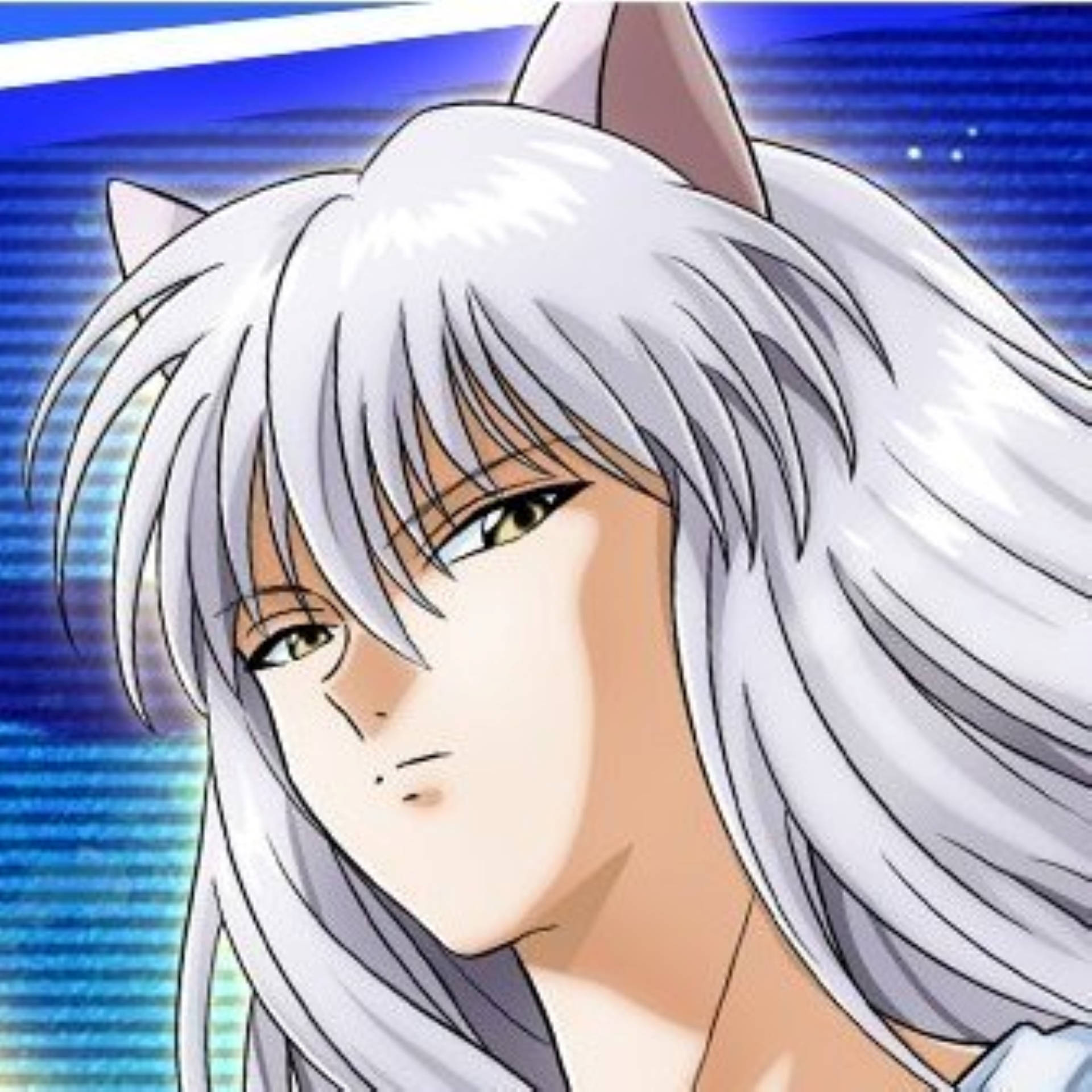 Yoko Kurama, silver hair, cat ears, Full HD Desktop Wallpaper