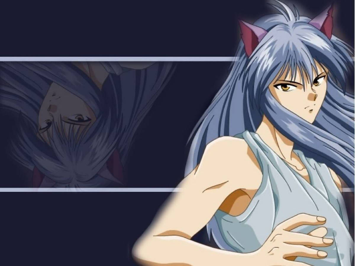 Yoko Kurama, silver hair, red cat ears, SD Desktop Wallpaper