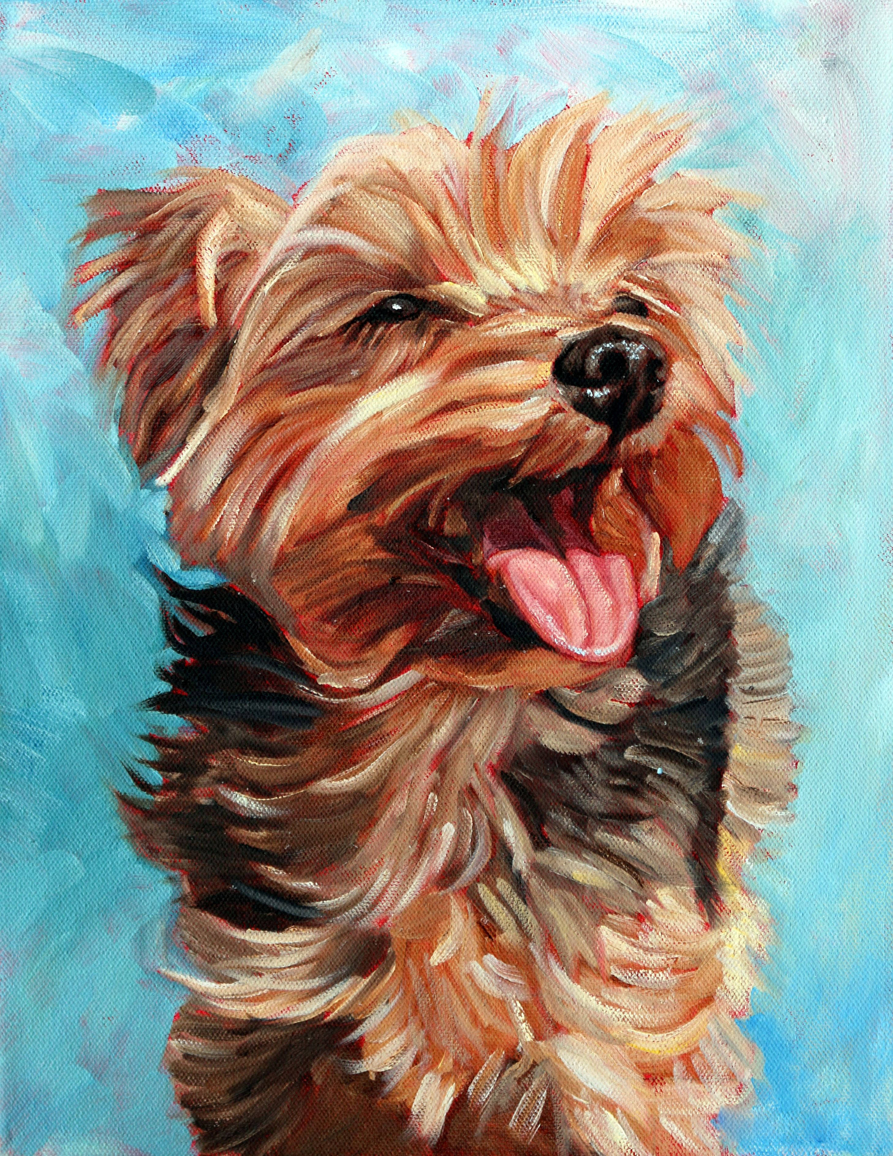 Yorkie, Yorkshire terrier, fluffy tan and black fur, 2K Phone Wallpaper