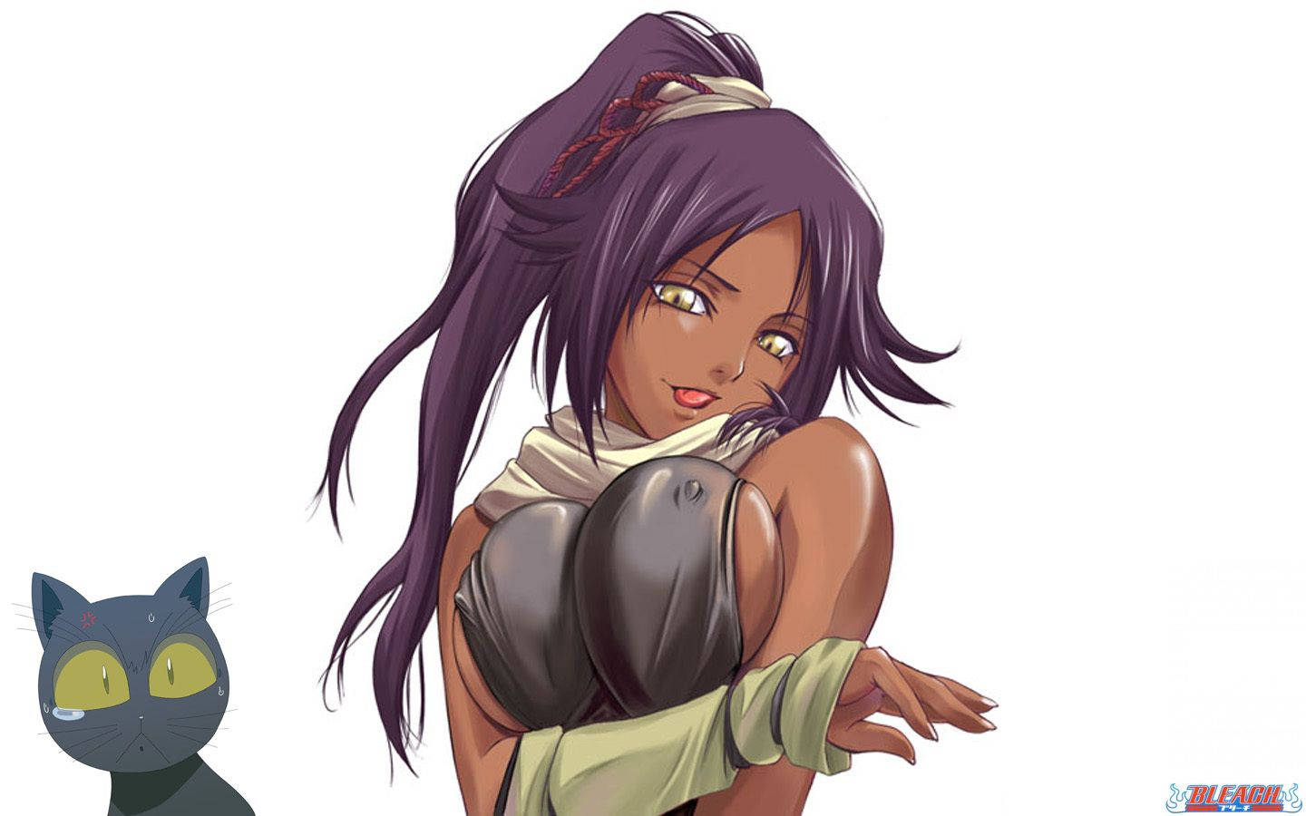 Yoruichi Shihouin, purple hair, black cat, HD Desktop Wallpaper