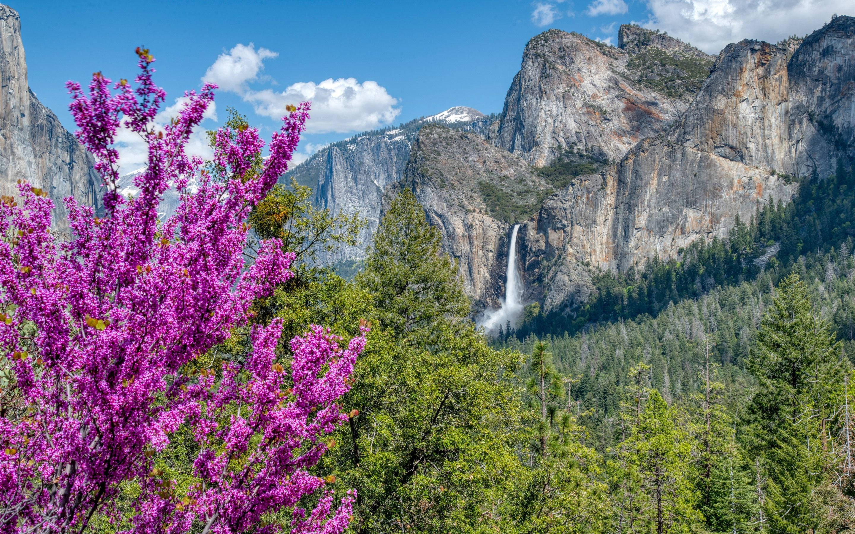 Yosemite, waterfall, granite cliffs, 2K Desktop Wallpaper