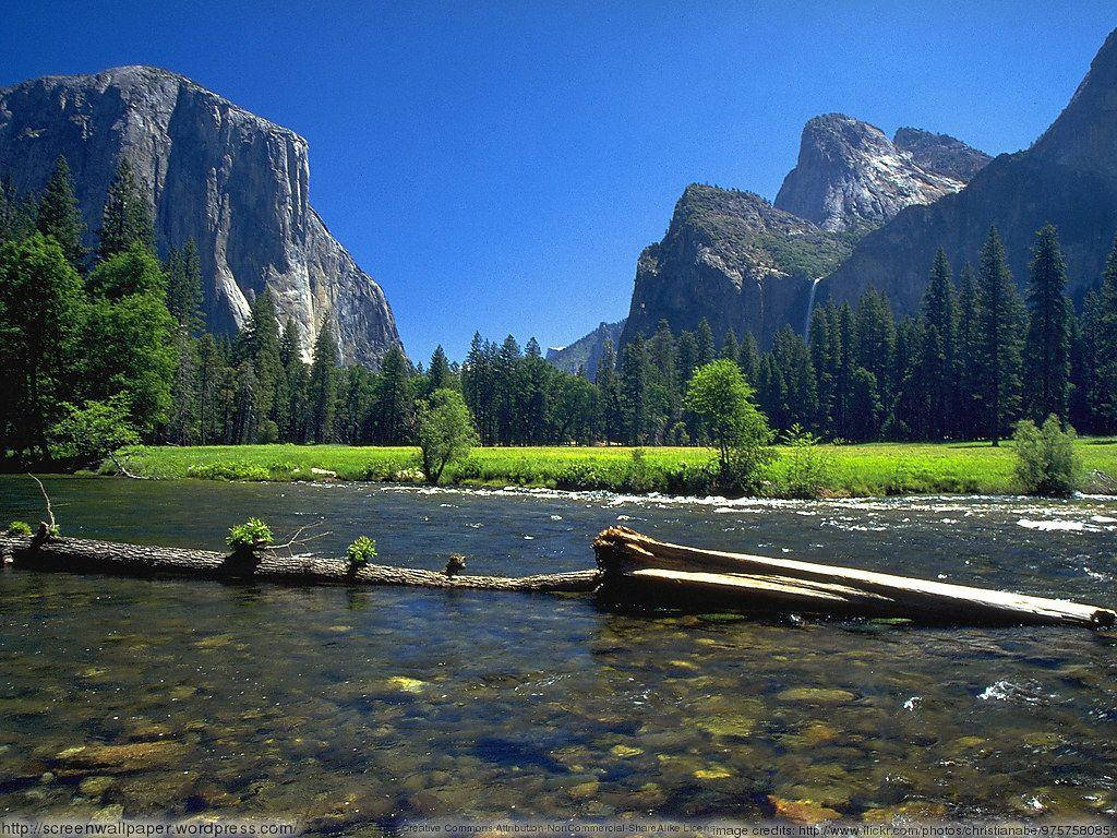 Yosemite National Park, river, fallen log, SD Desktop Wallpaper