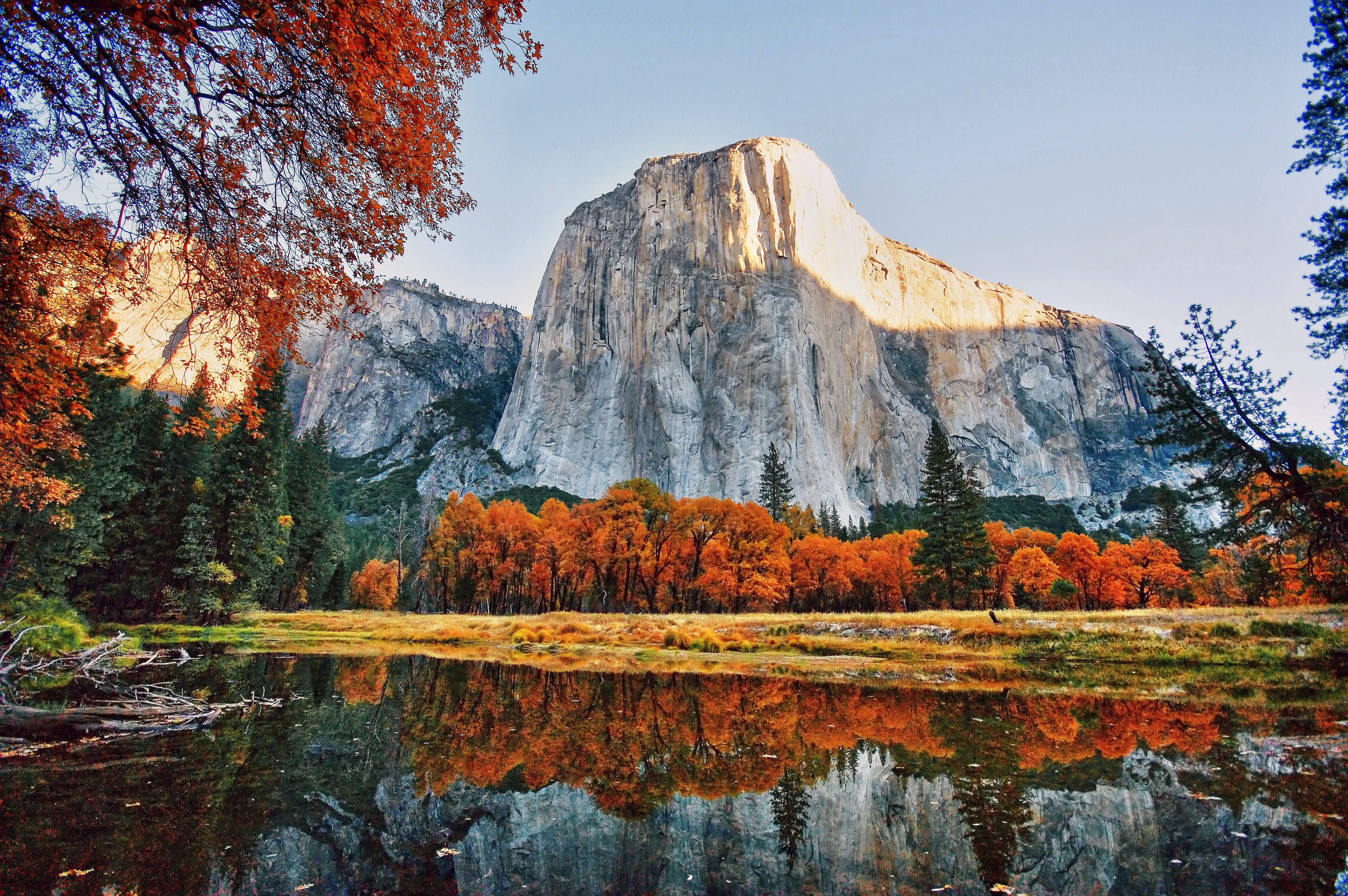 Yosemite National Park, granite cliff, autumn forest, 4K Desktop Wallpaper
