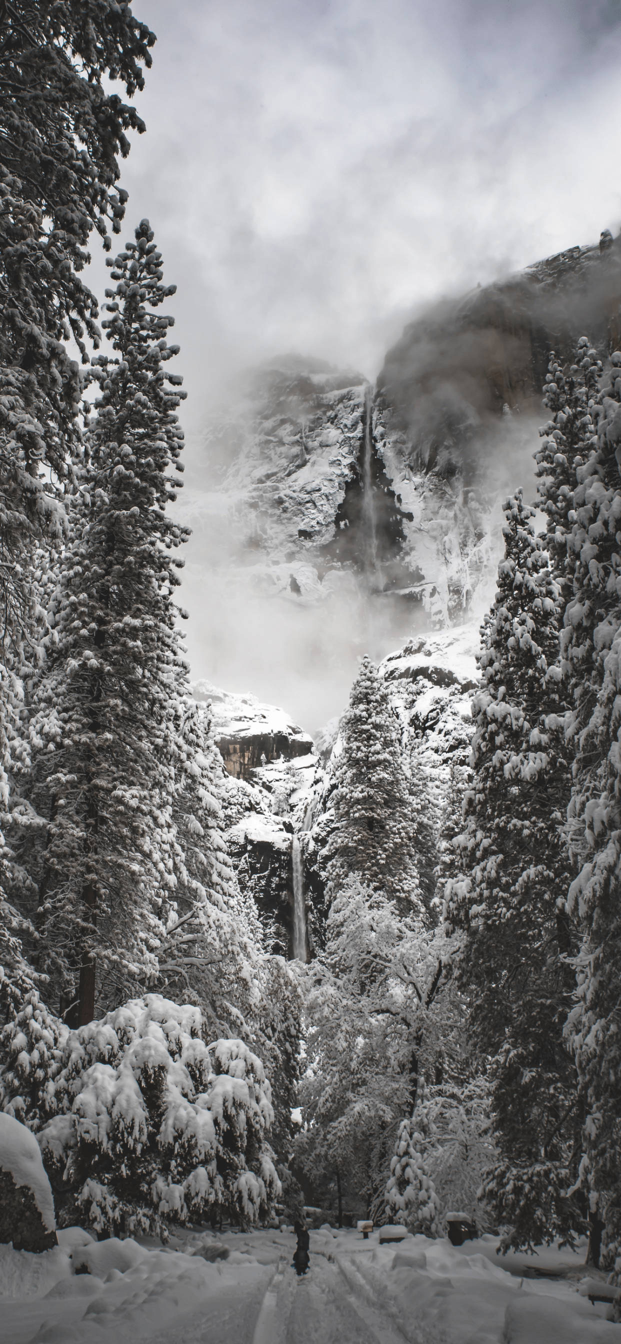 Yosemite, iPhone, snowy path, 2K Phone Wallpaper