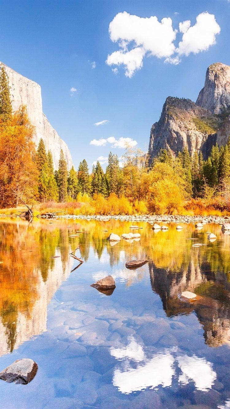 Yosemite National Park, autumn valley, golden trees, HD Phone Wallpaper