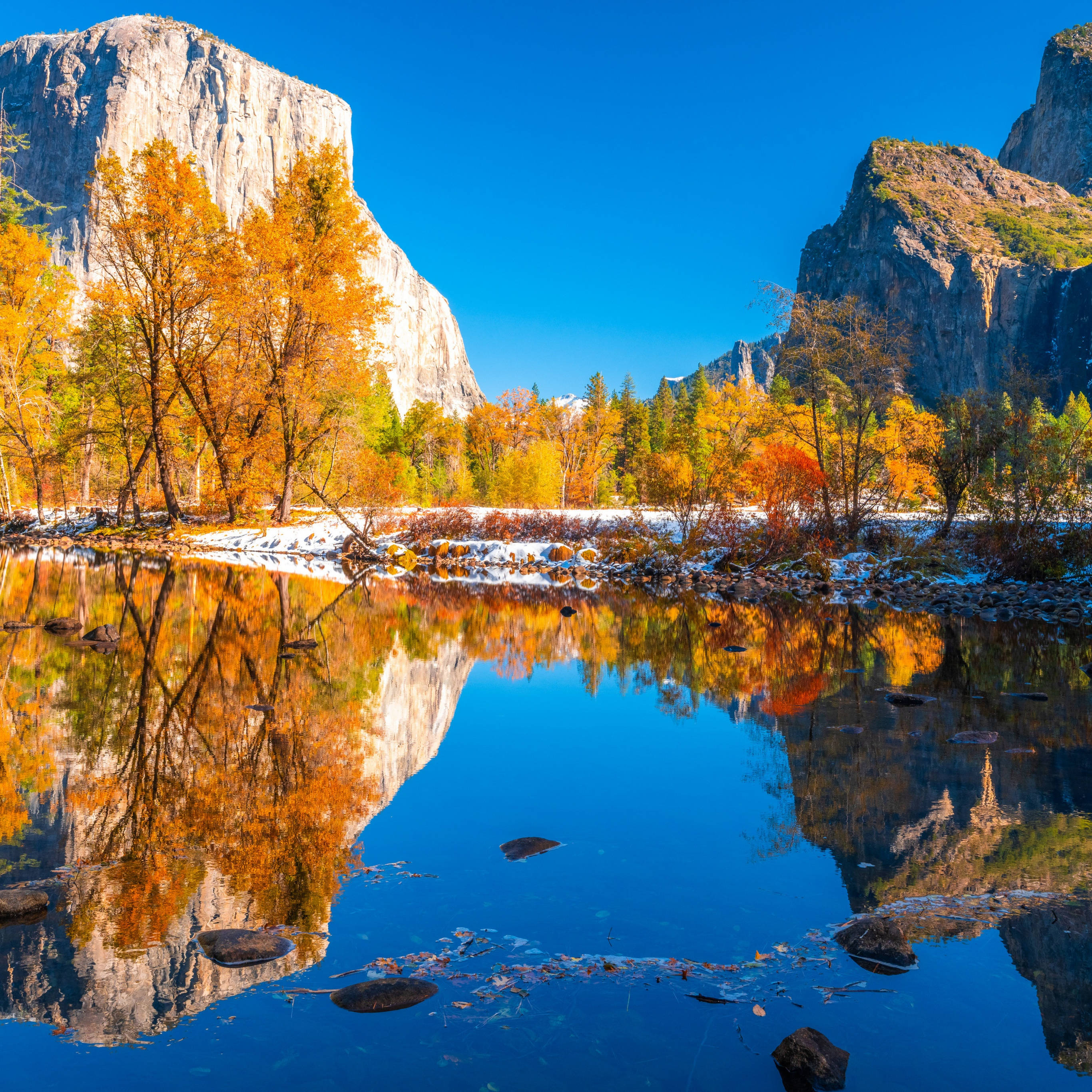 Yosemite National Park, autumn valley, golden trees, 2K Desktop Wallpaper