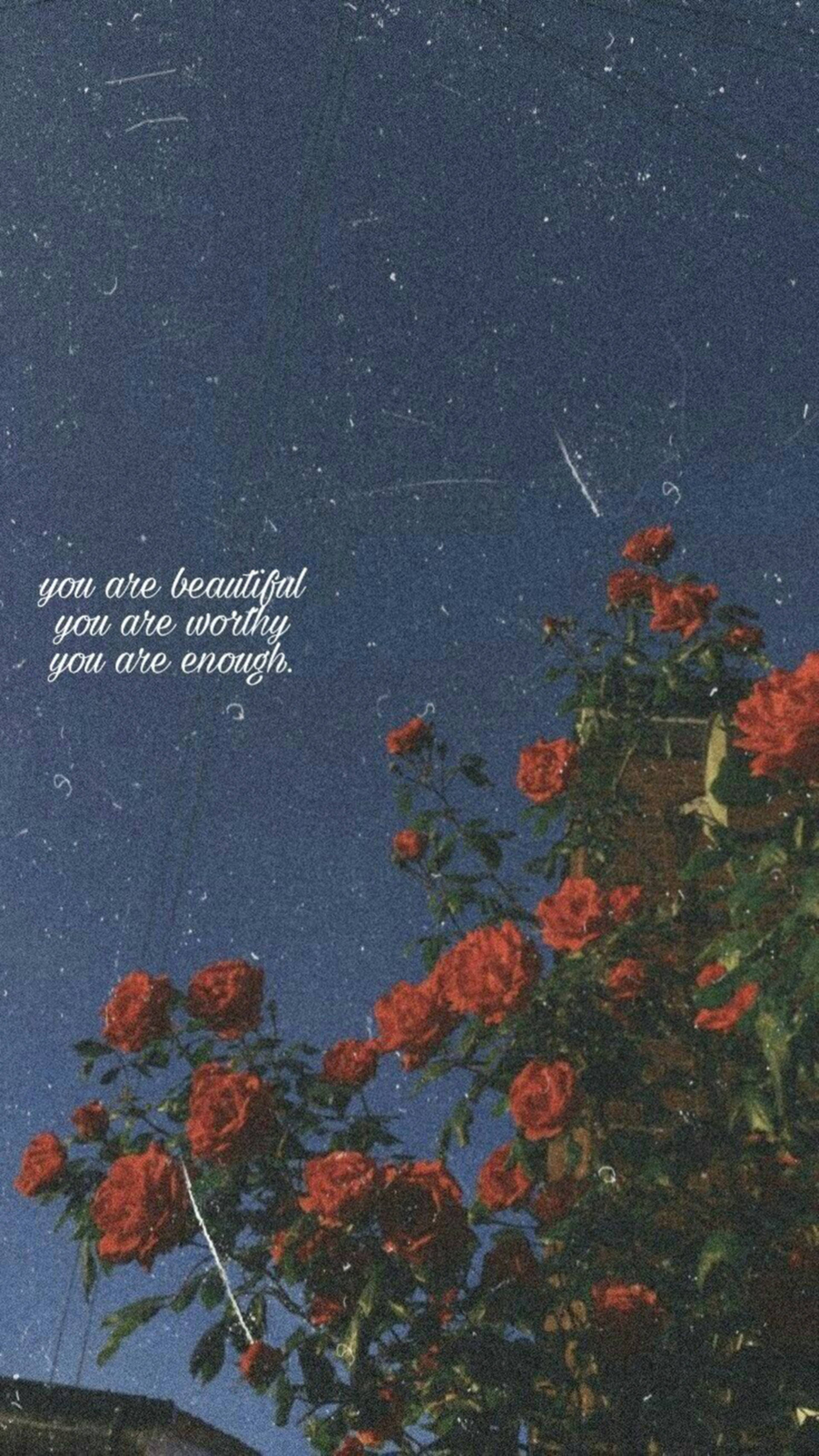 red roses, starry night sky, text overlay, 2K Phone Wallpaper
