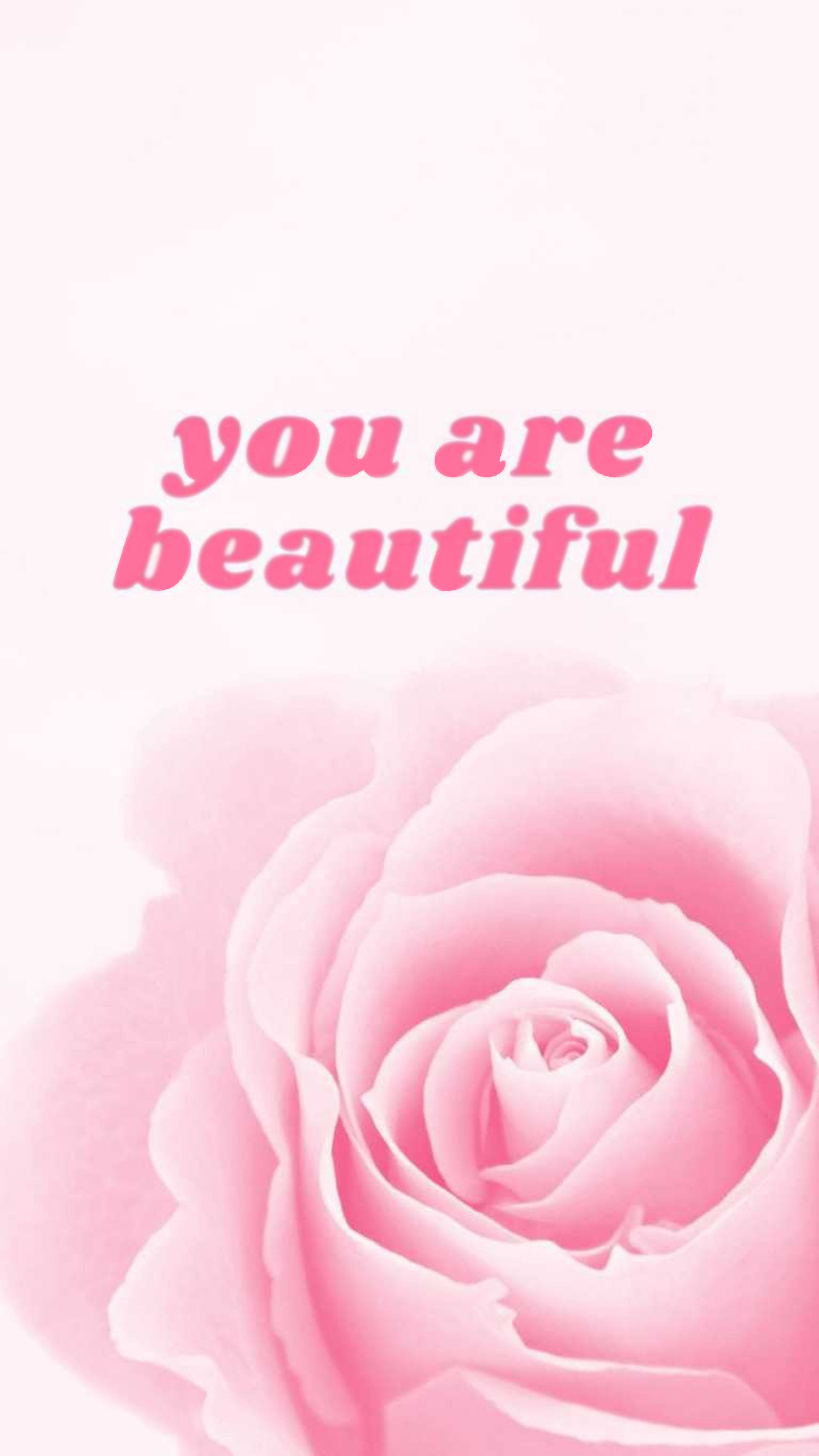 You Are Beautiful, pink aesthetic, soft pink rose, 2K Phone Wallpaper