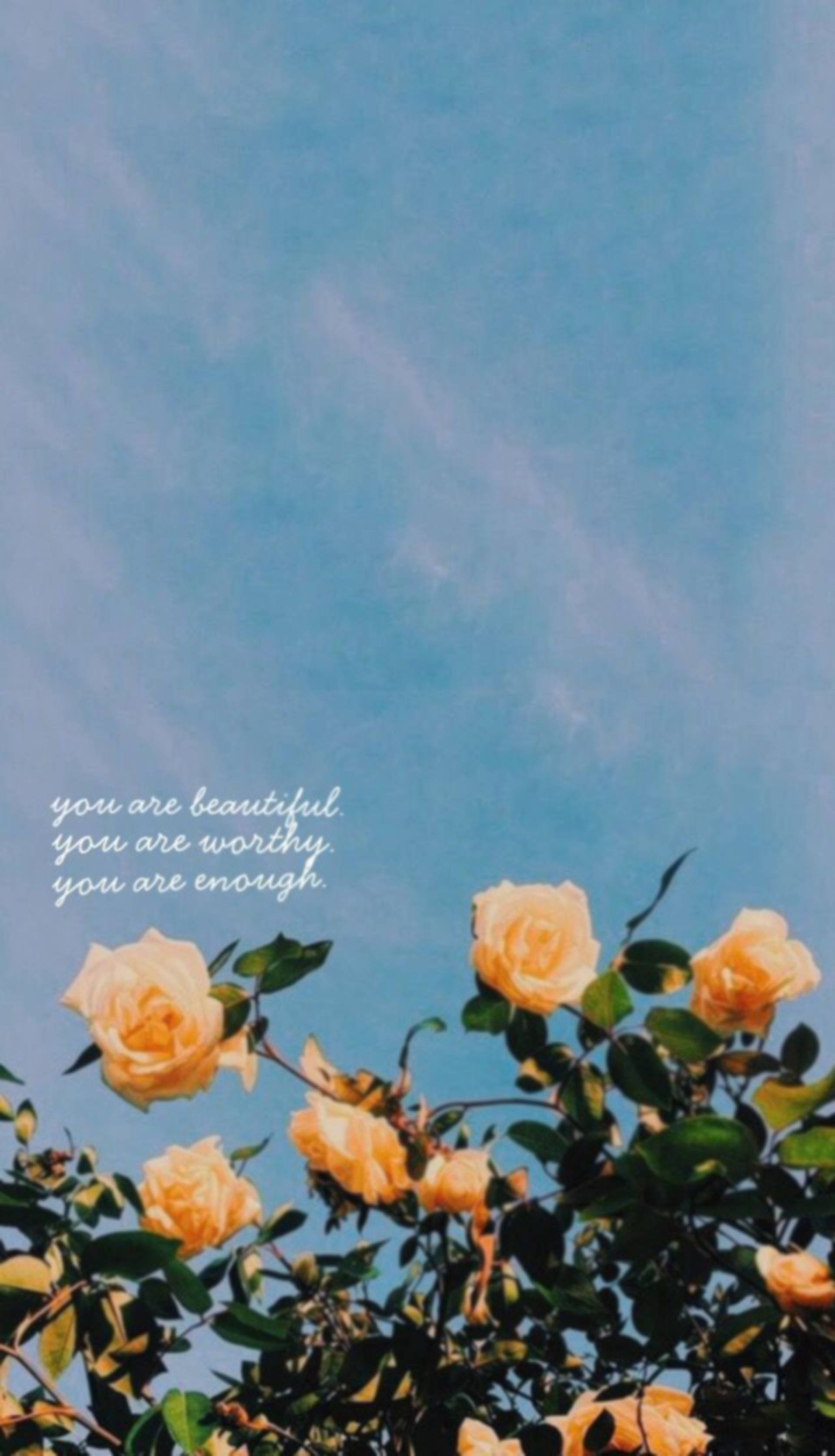 yellow roses, clear blue sky, gentle text overlay, 2K Phone Wallpaper