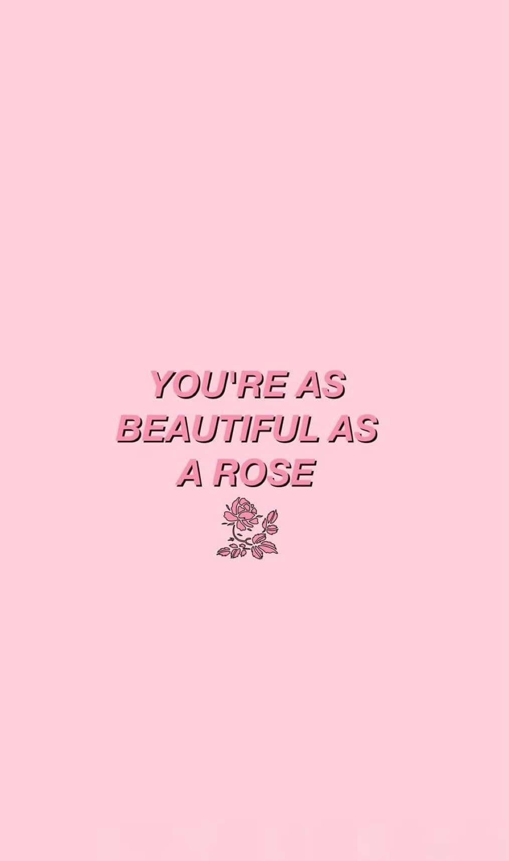 rose, soft pink background, pink text, HD Phone Wallpaper