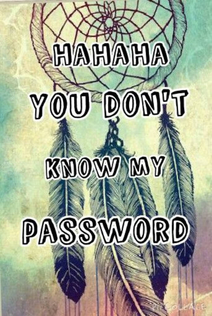 dreamcatcher, feathers, HAHAHA YOU DON'T KNOW MY PASSWORD, SD Phone Wallpaper