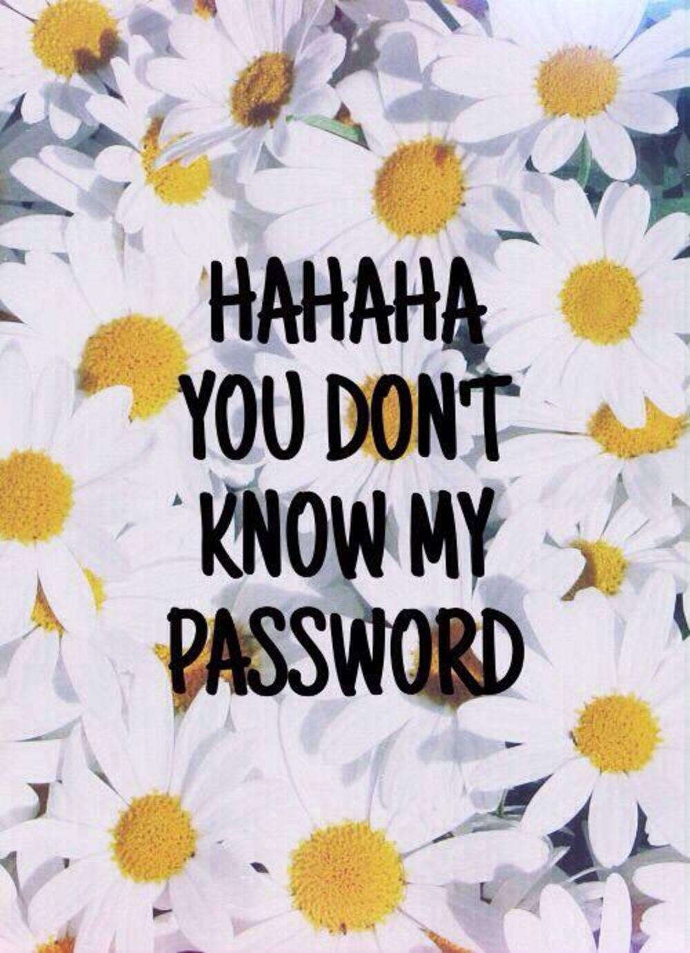 white daisies, yellow centers, bold black text, HD Phone Wallpaper