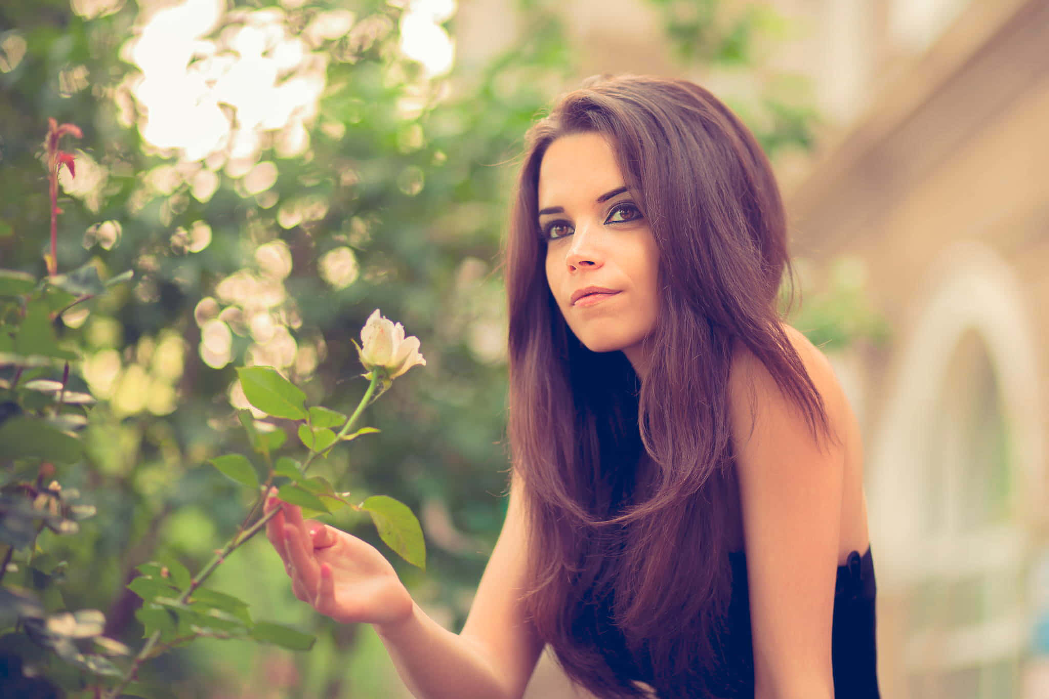 young female model, white rose, sunlit garden, Full HD Desktop Wallpaper