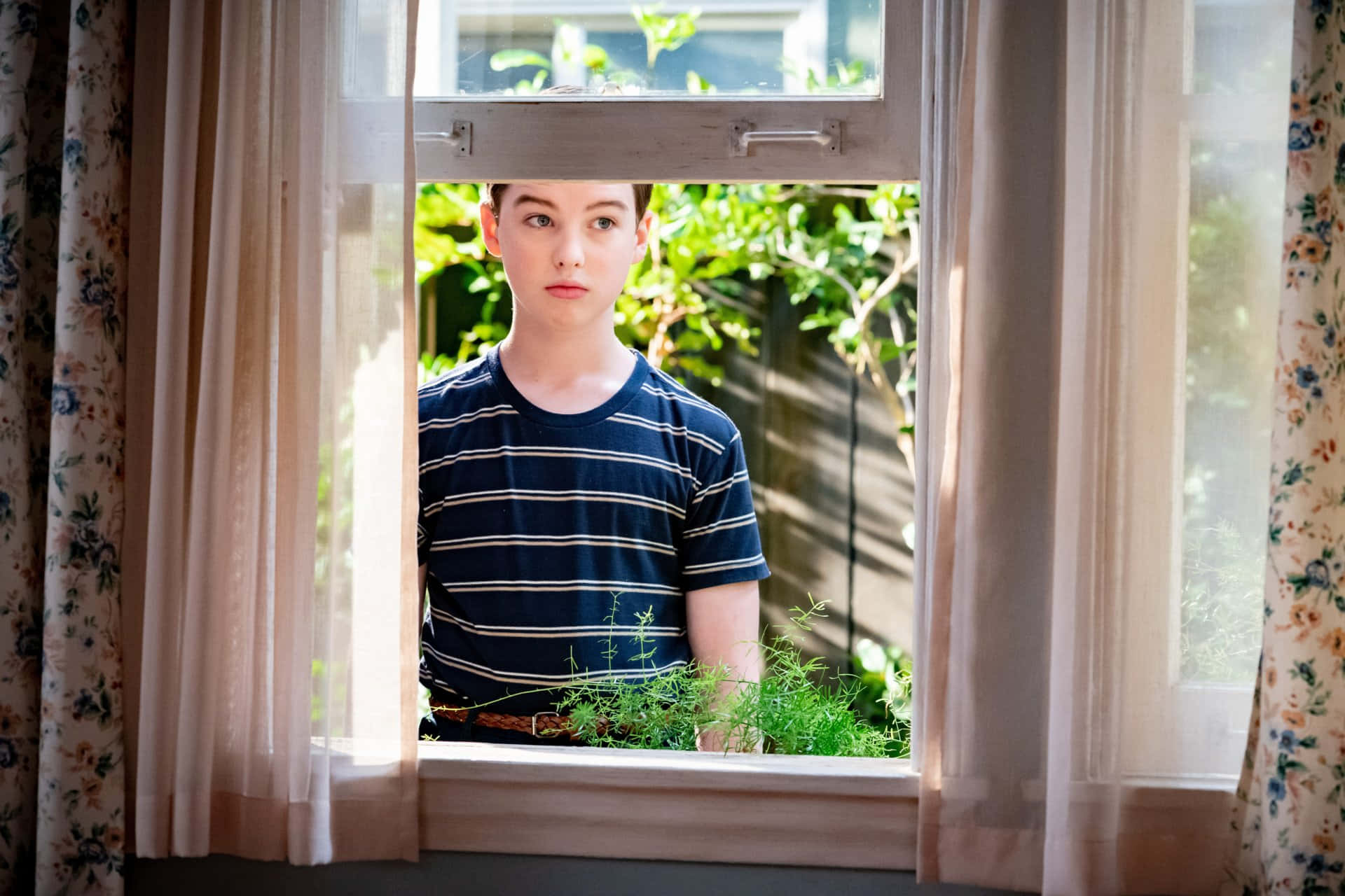 Young Sheldon, striped shirt, open window, Full HD Desktop Wallpaper