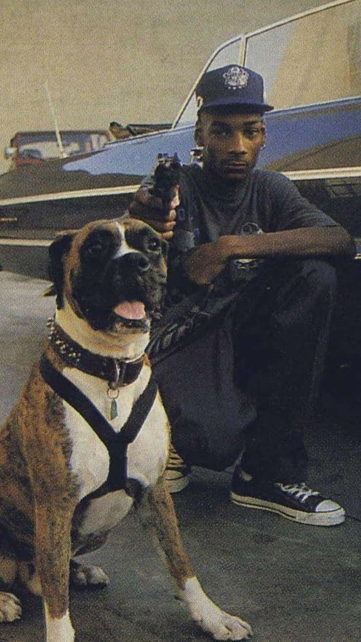 Young Snoop Dogg, brindle Boxer dog, harness, HD Phone Wallpaper
