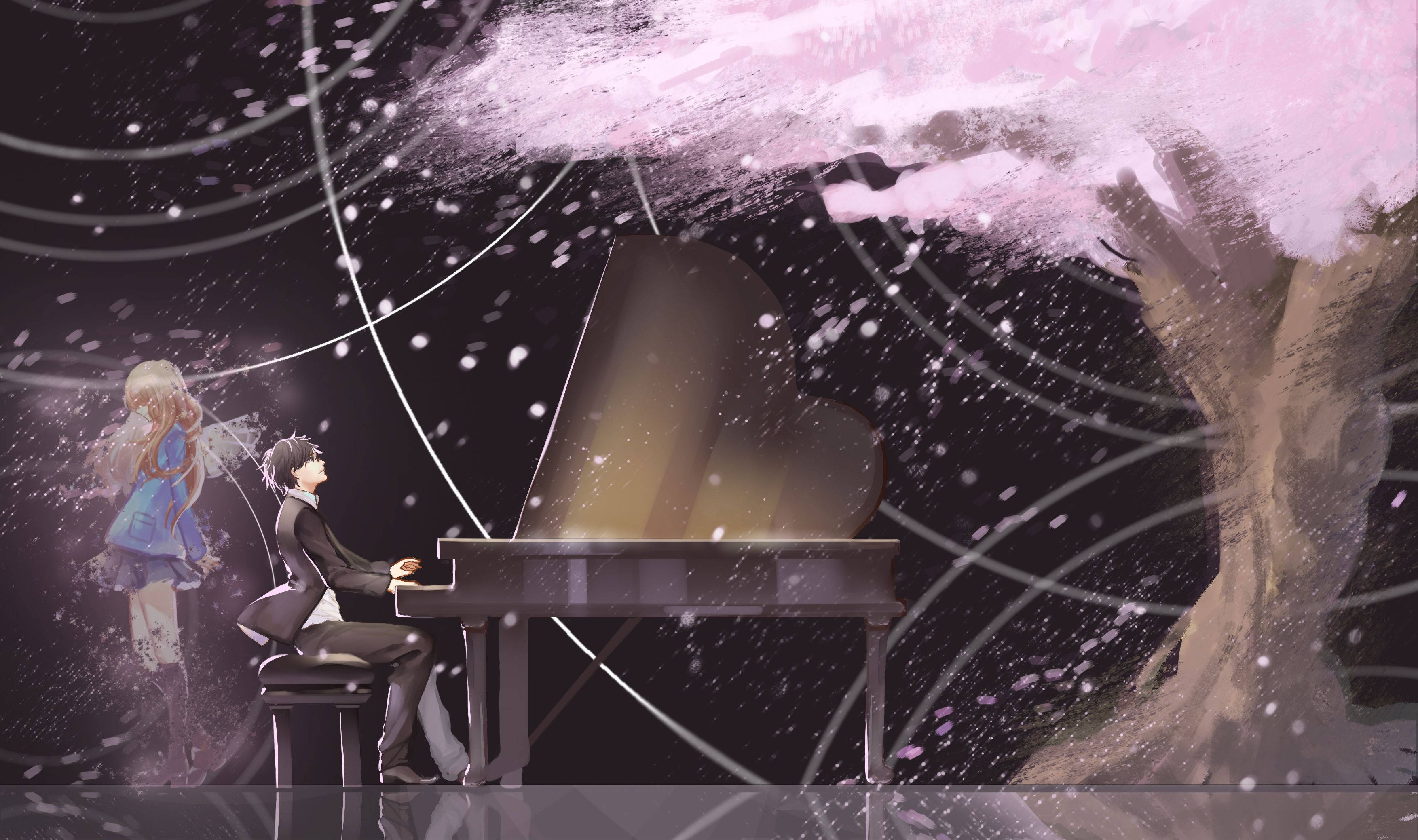 Your Lie In April, sakura tree, pink sakura blossom trees, 2K Desktop Wallpaper