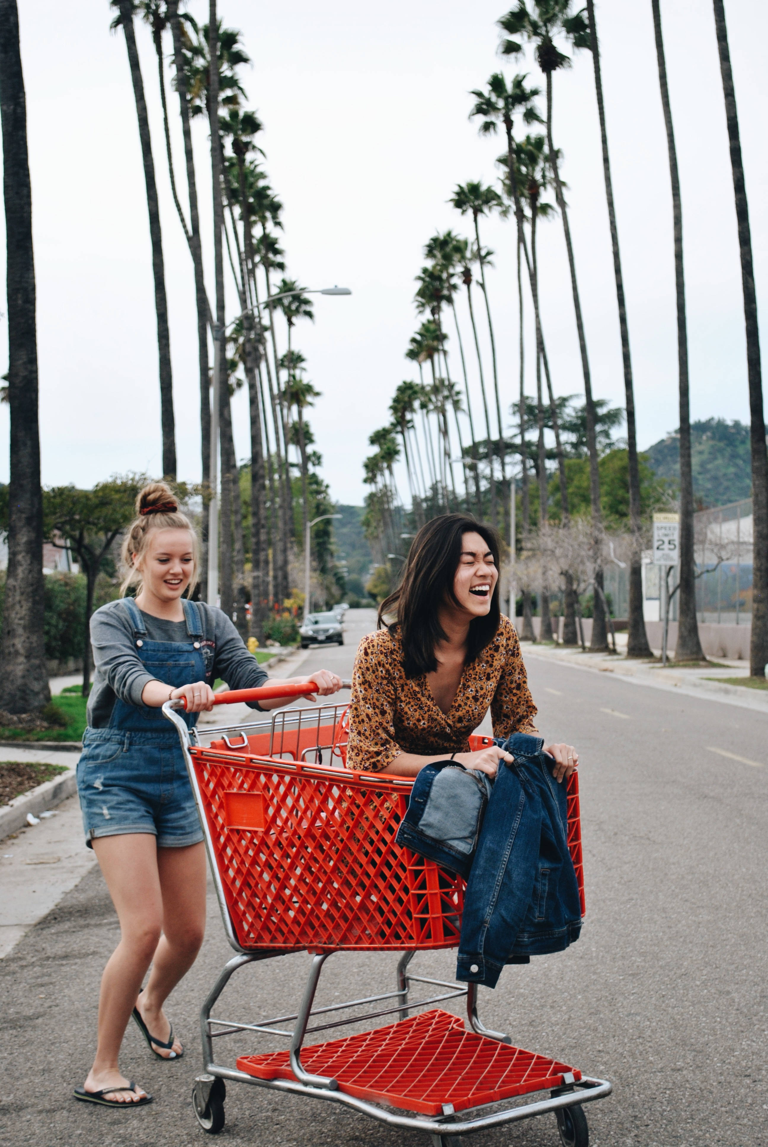 girls best friend shopping cart, bright red shopping cart, palm-lined street, 4K Phone Wallpaper