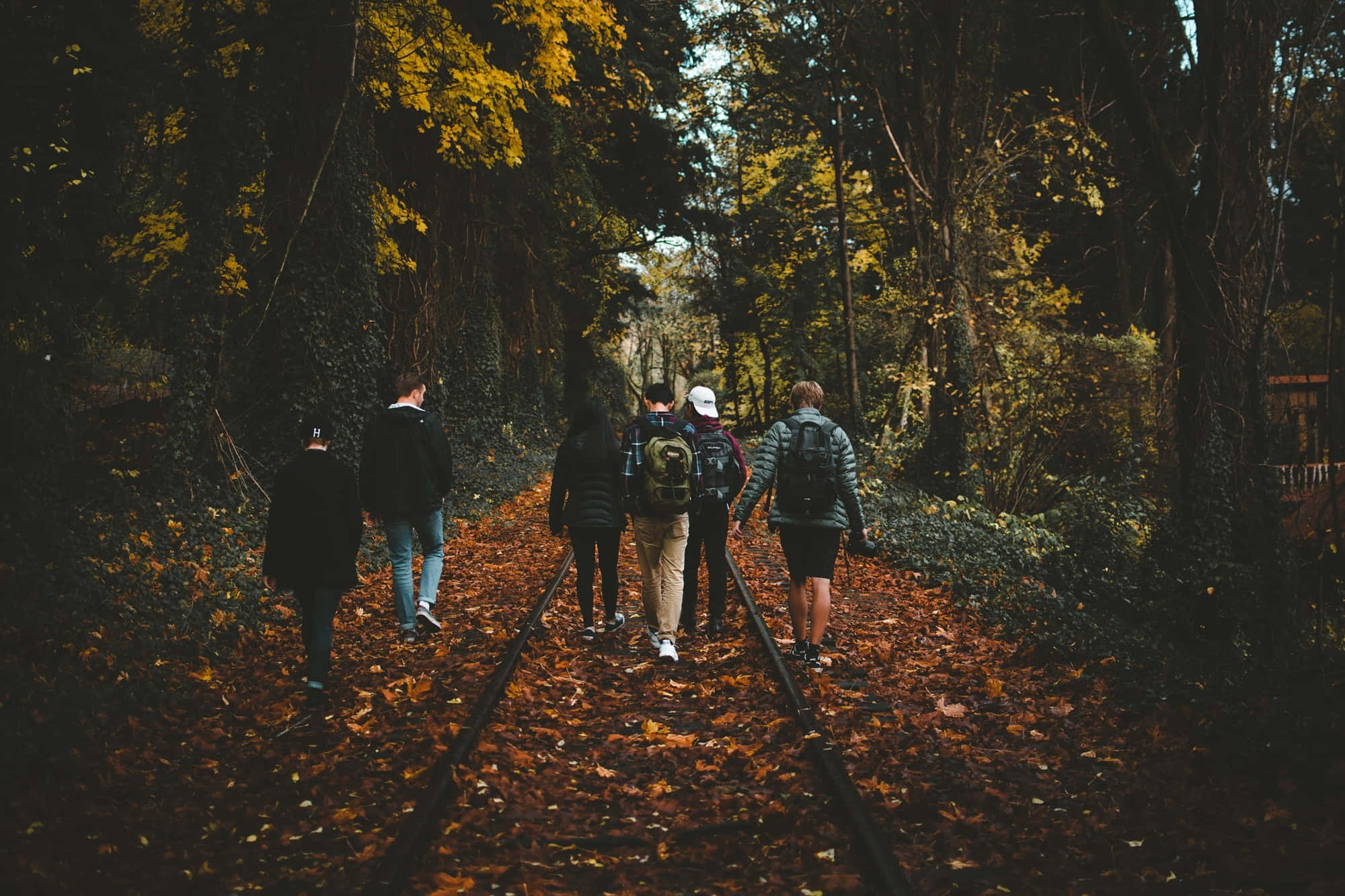 Youth Group, autumn, railroad track, Full HD Desktop Wallpaper