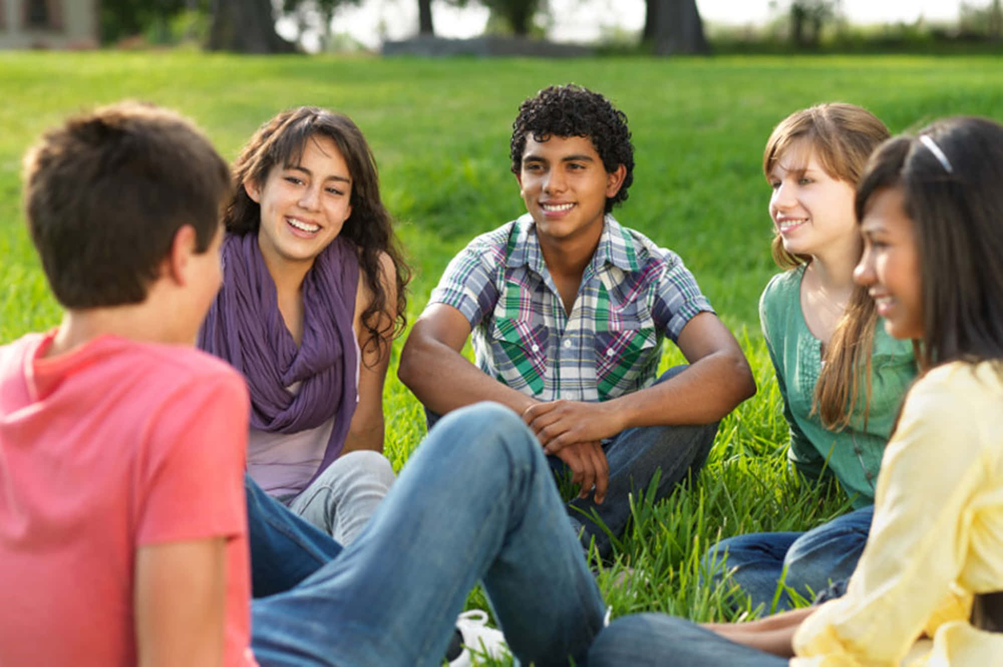 Youth Group, five smiling teenagers, vibrant green grass, Full HD Desktop Wallpaper