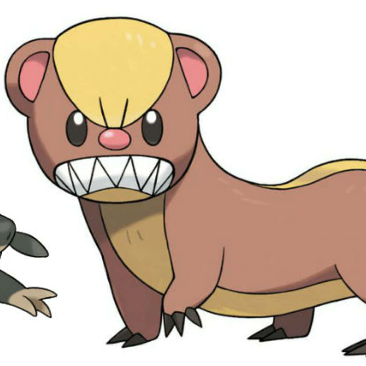 Yungoos, yellow mohawk, ferret-like, SD Desktop Wallpaper