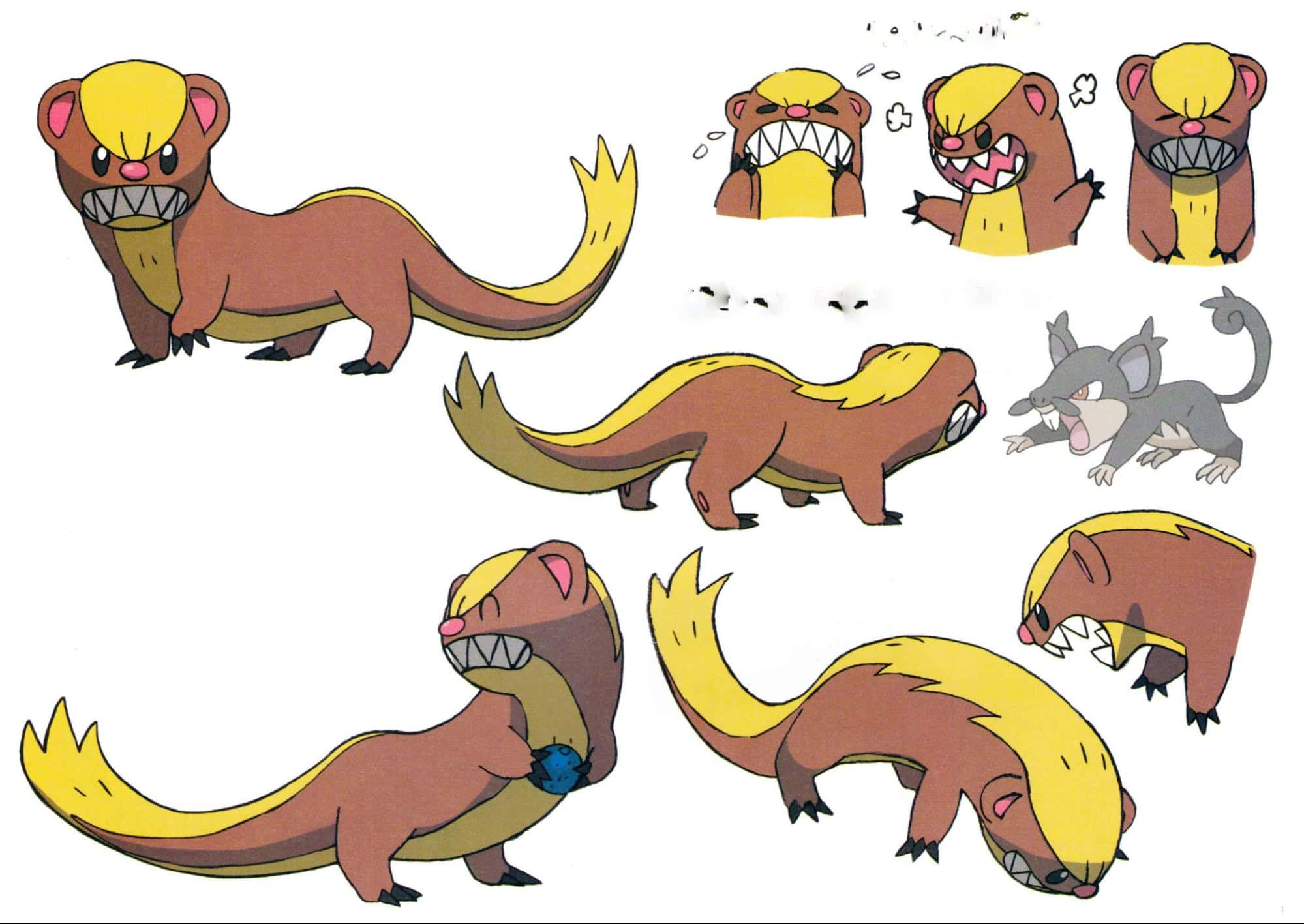 Yungoos, brown and yellow ferret-like creature, sharp teeth, Full HD Desktop Wallpaper