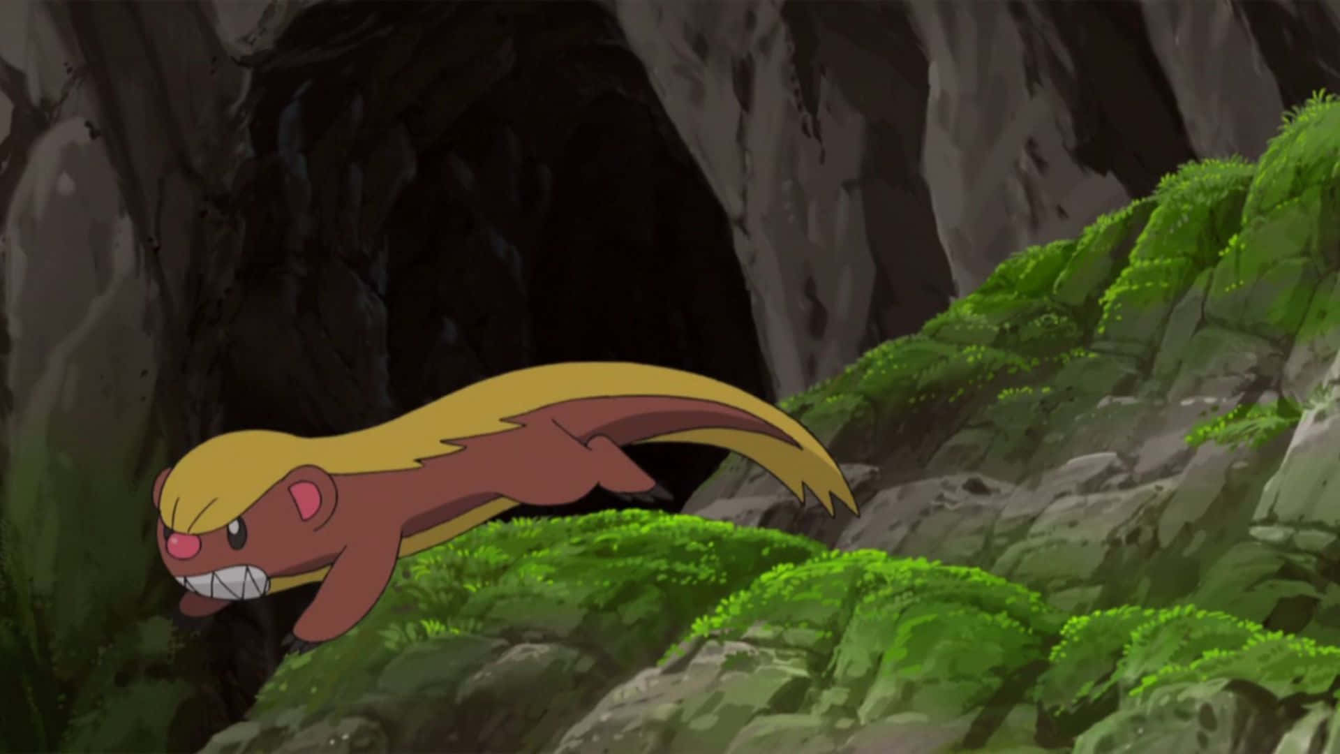 Yungoos, cave entrance, mossy rocks, Full HD Desktop Wallpaper