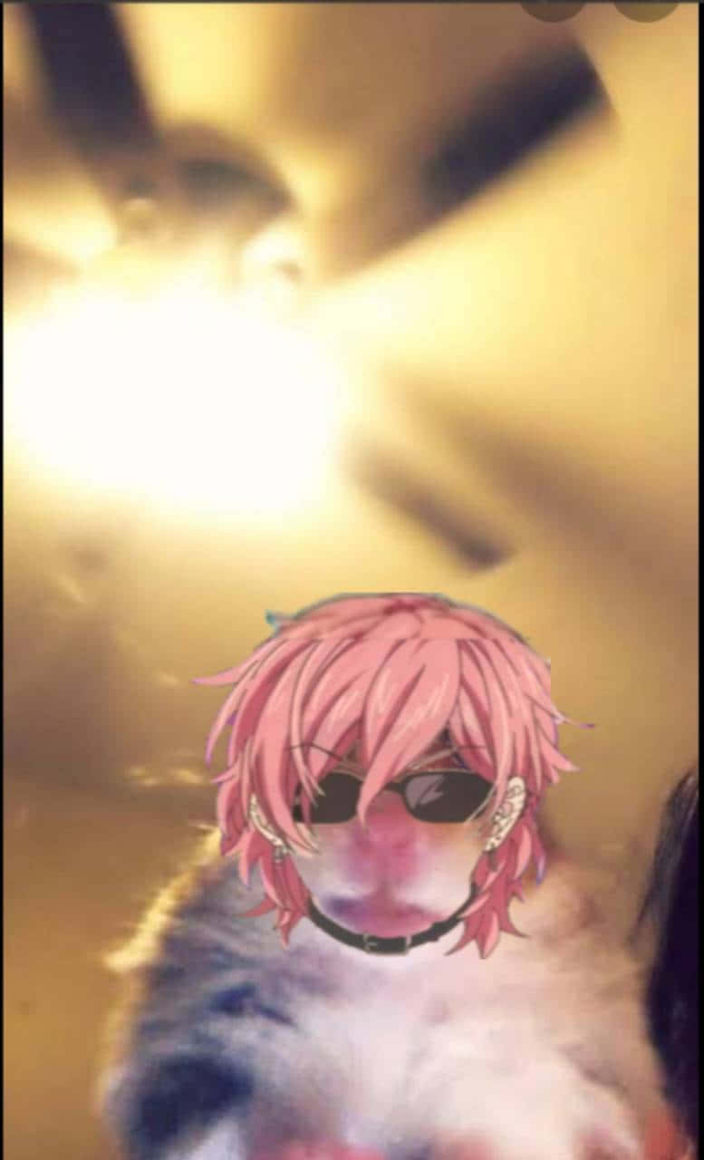Yuri Ayato, pink-haired anime cat, sunglasses, HD Phone Wallpaper