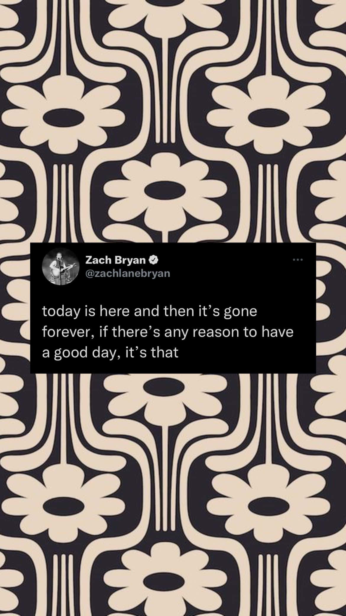 Zach Bryan, floral pattern, mid-century, Full HD Phone Wallpaper