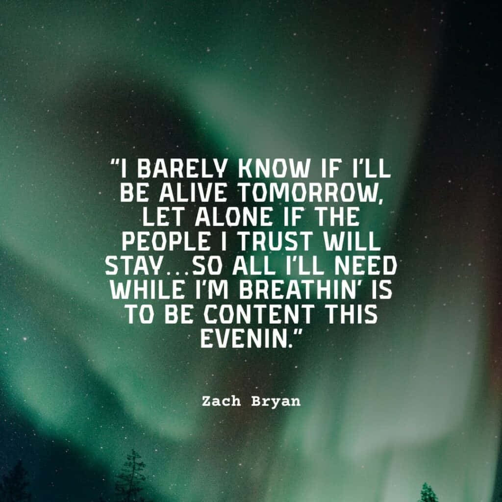 Zach Bryan, aurora borealis, snowy treetops, SD Desktop Wallpaper