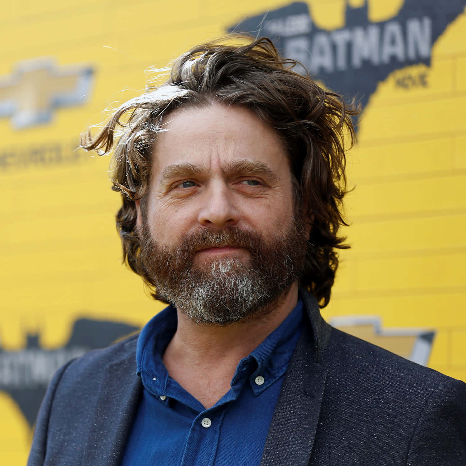 Zach Galifianakis, graying beard, tousled hair, HD Desktop Wallpaper