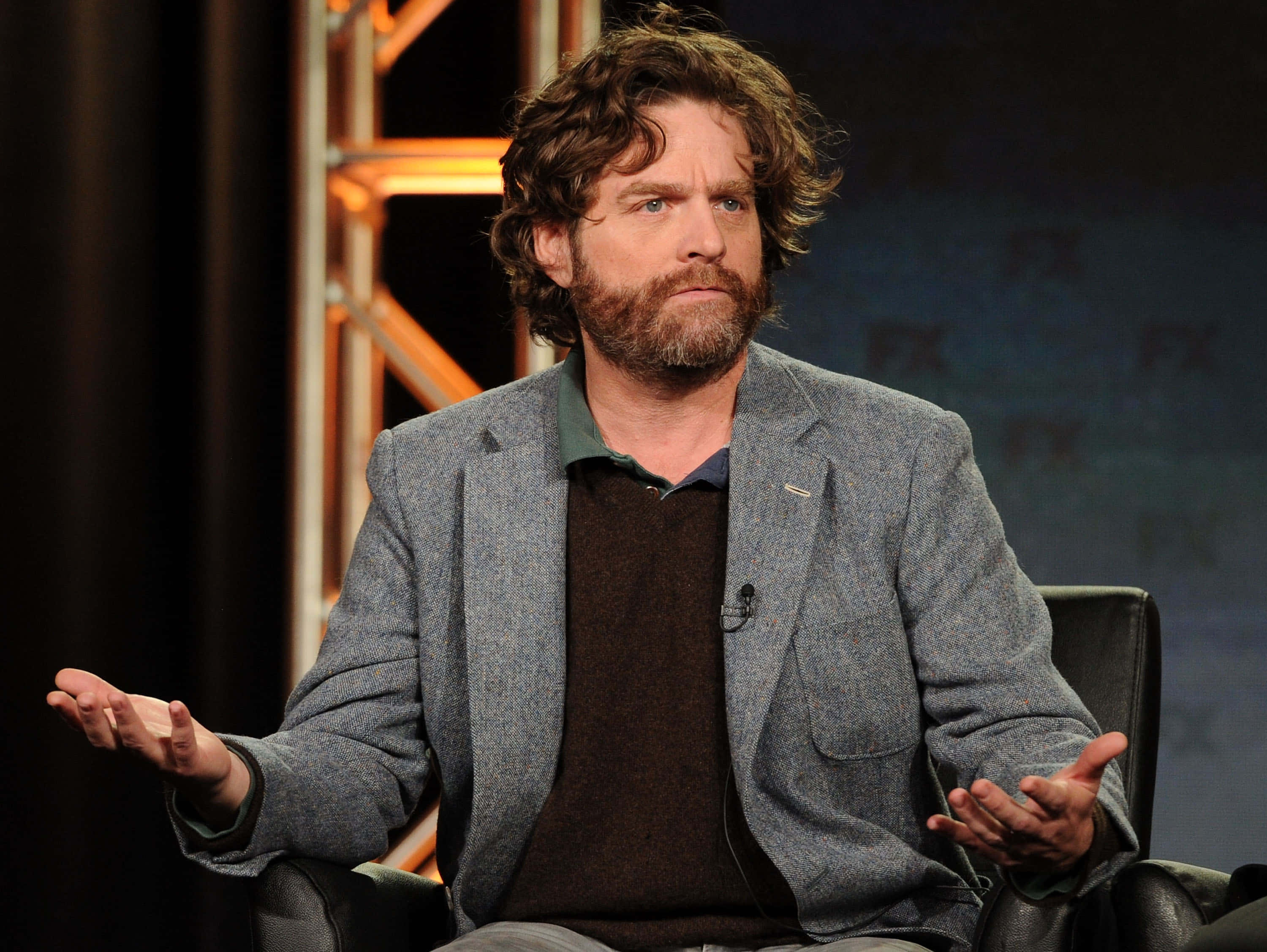 Zach Galifianakis, beard, tousled hair, 2K Desktop Wallpaper