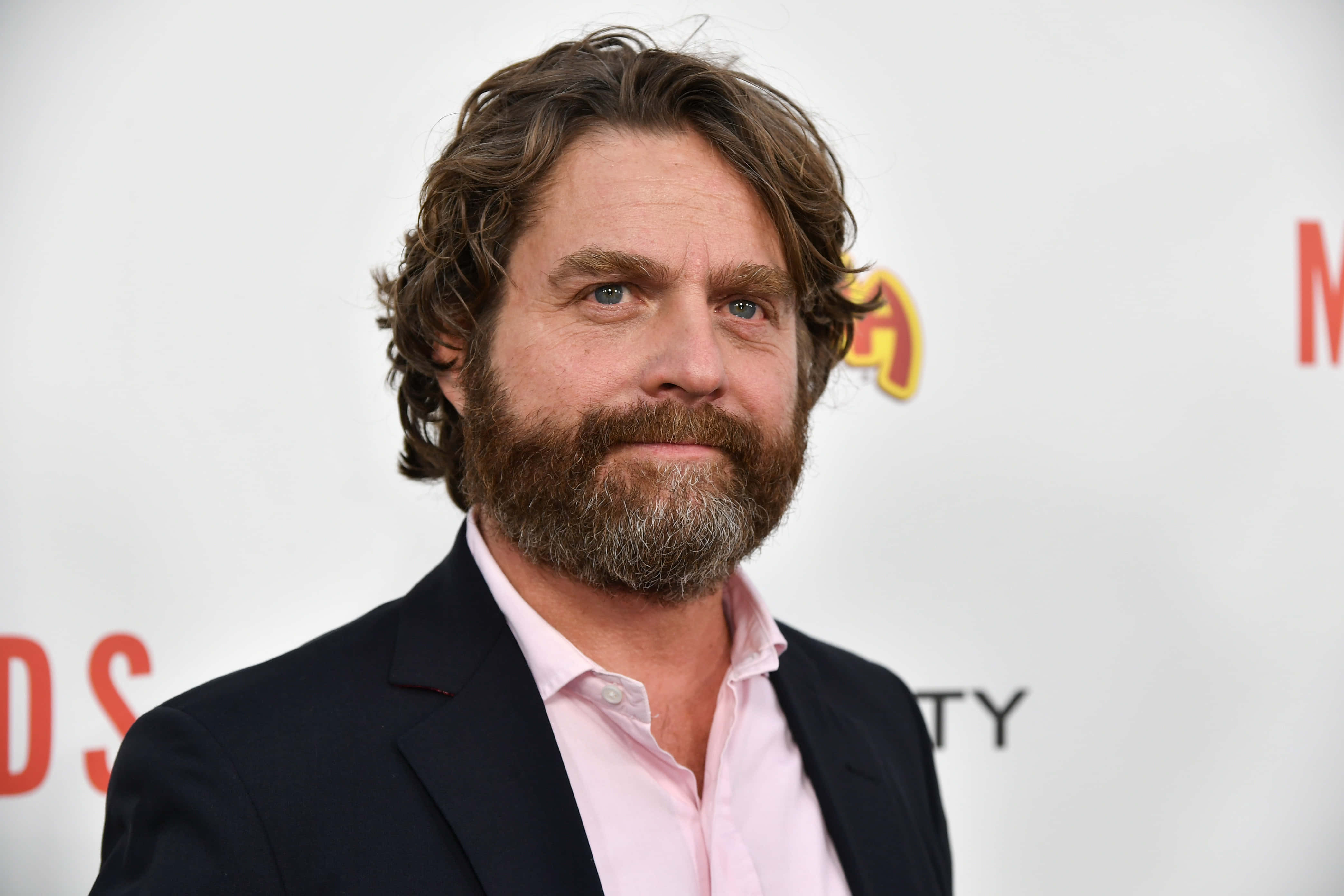 Zach Galifianakis, red carpet, dark suit, 4K Desktop Wallpaper